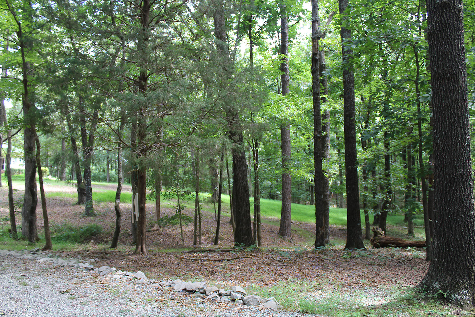 254 Kirk Ridge Road Property Photo 8
