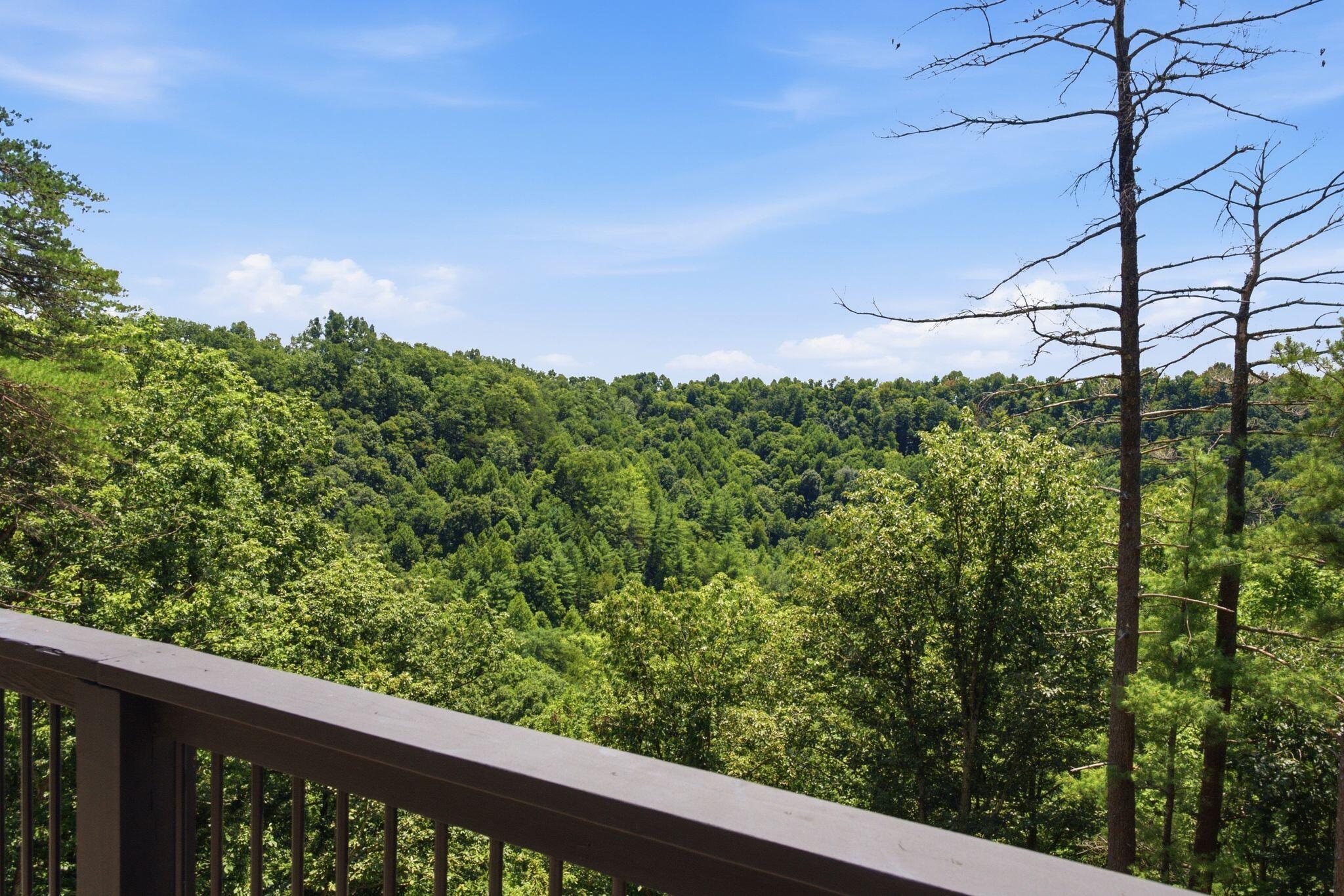 315 Sky Ridge Way Property Photo 37