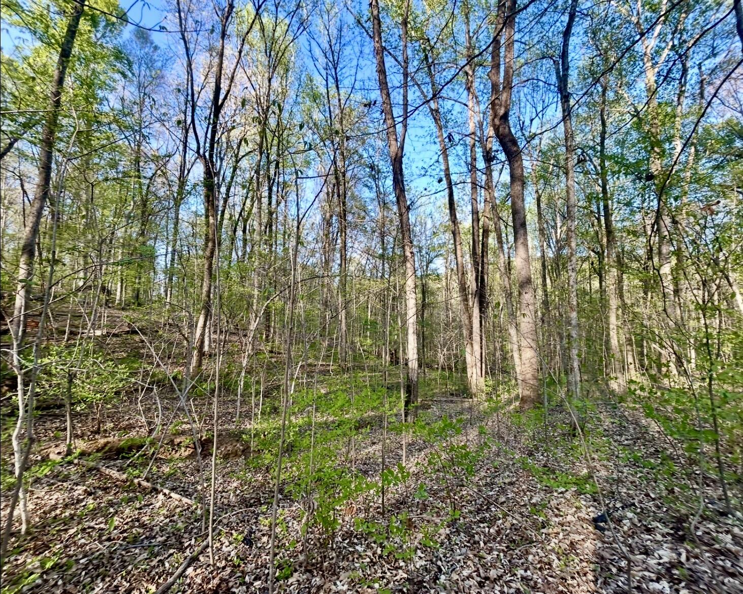 Lot 14e Commerce Landing Rd. Property Photo 5