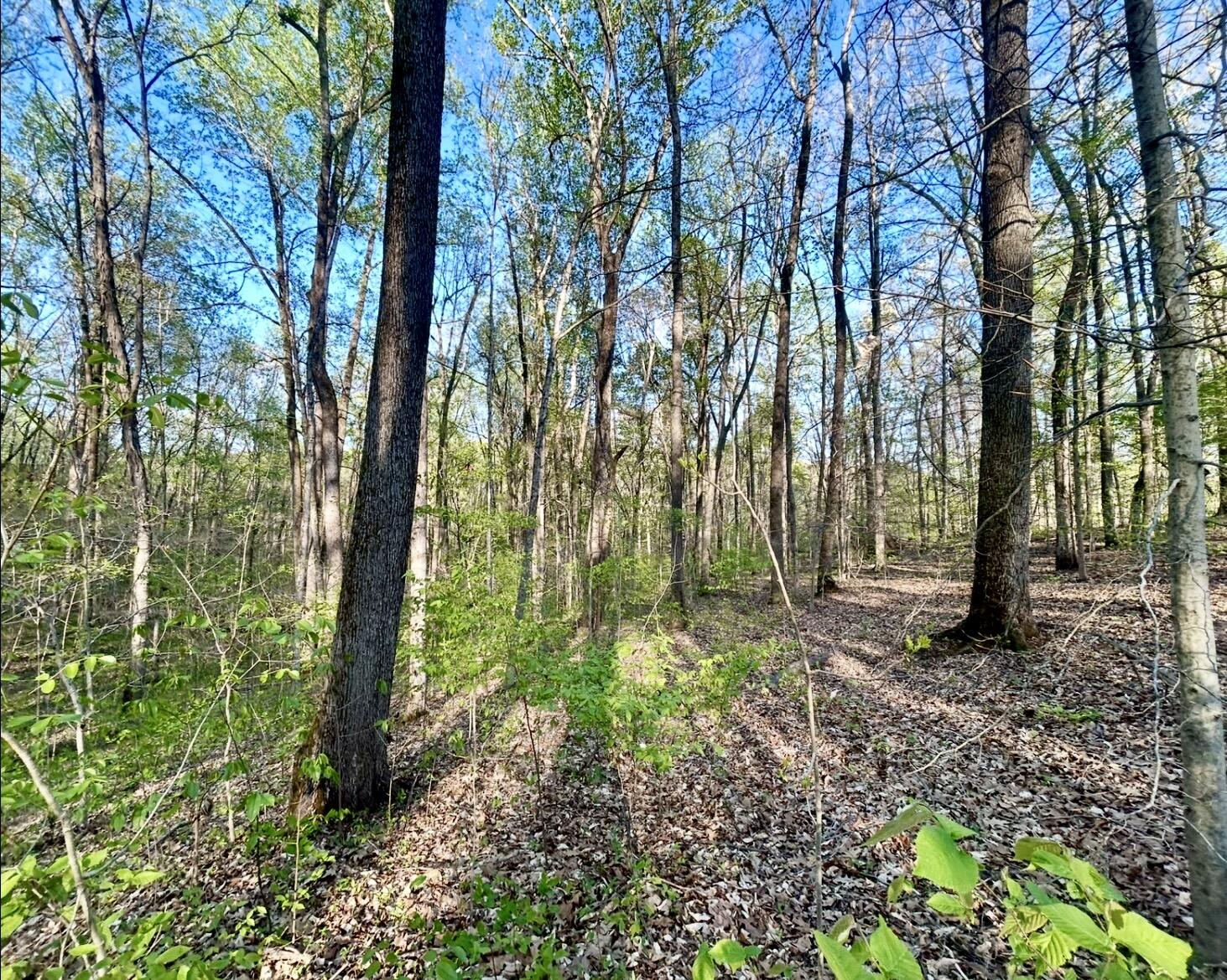 Lot 14e Commerce Landing Rd. Property Photo 6