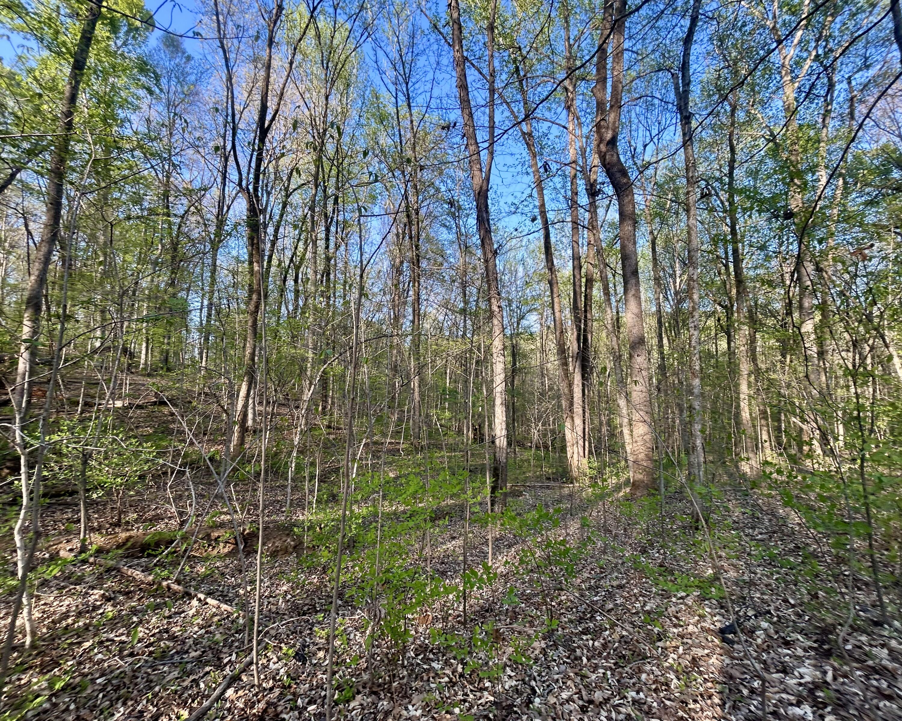 Lot 14e Commerce Landing Rd. Property Photo 7