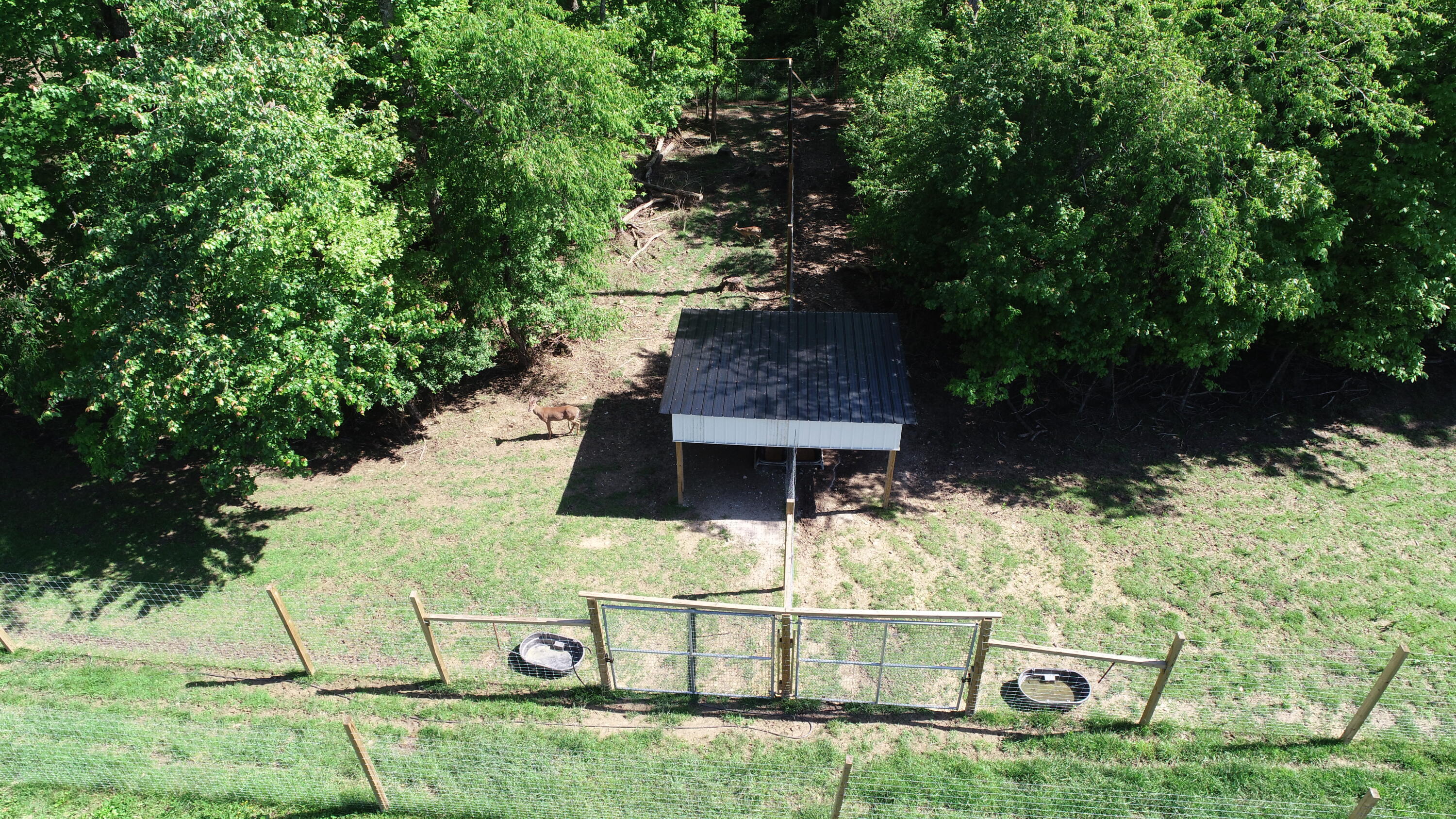 227 Callihan Road Property Photo 58