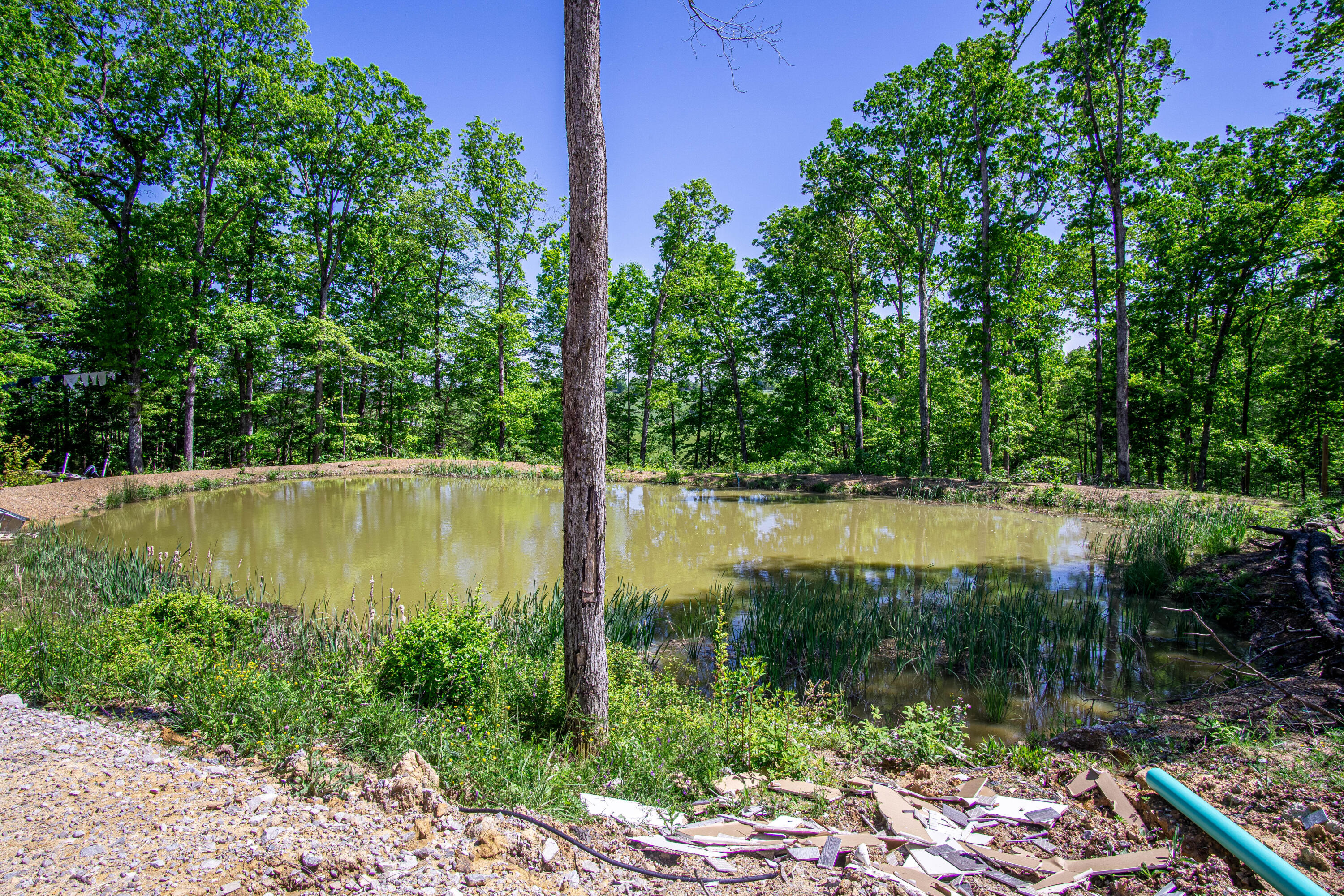 227 Callihan Road Property Photo 80