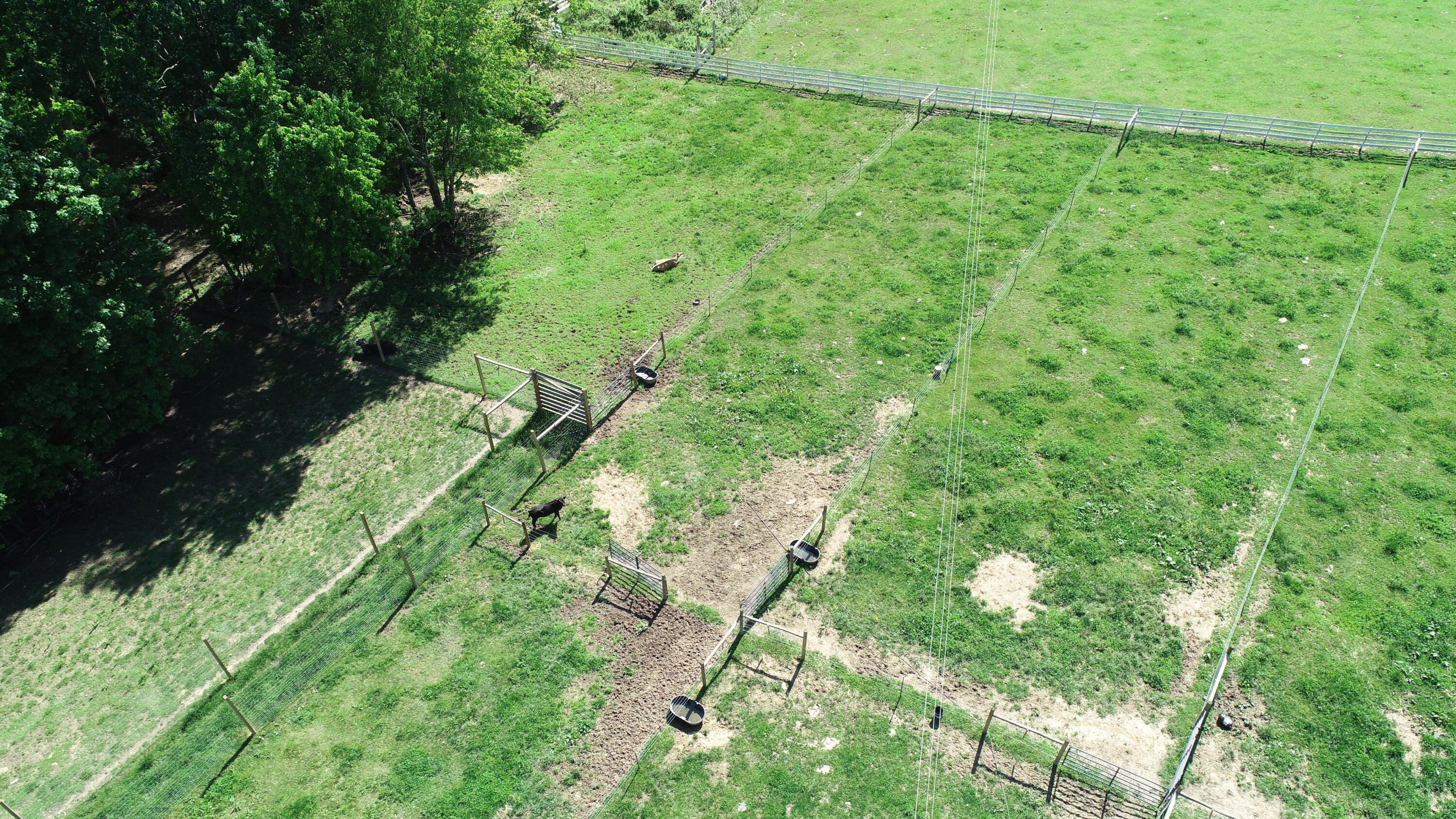 227 Callihan Road Property Photo 62