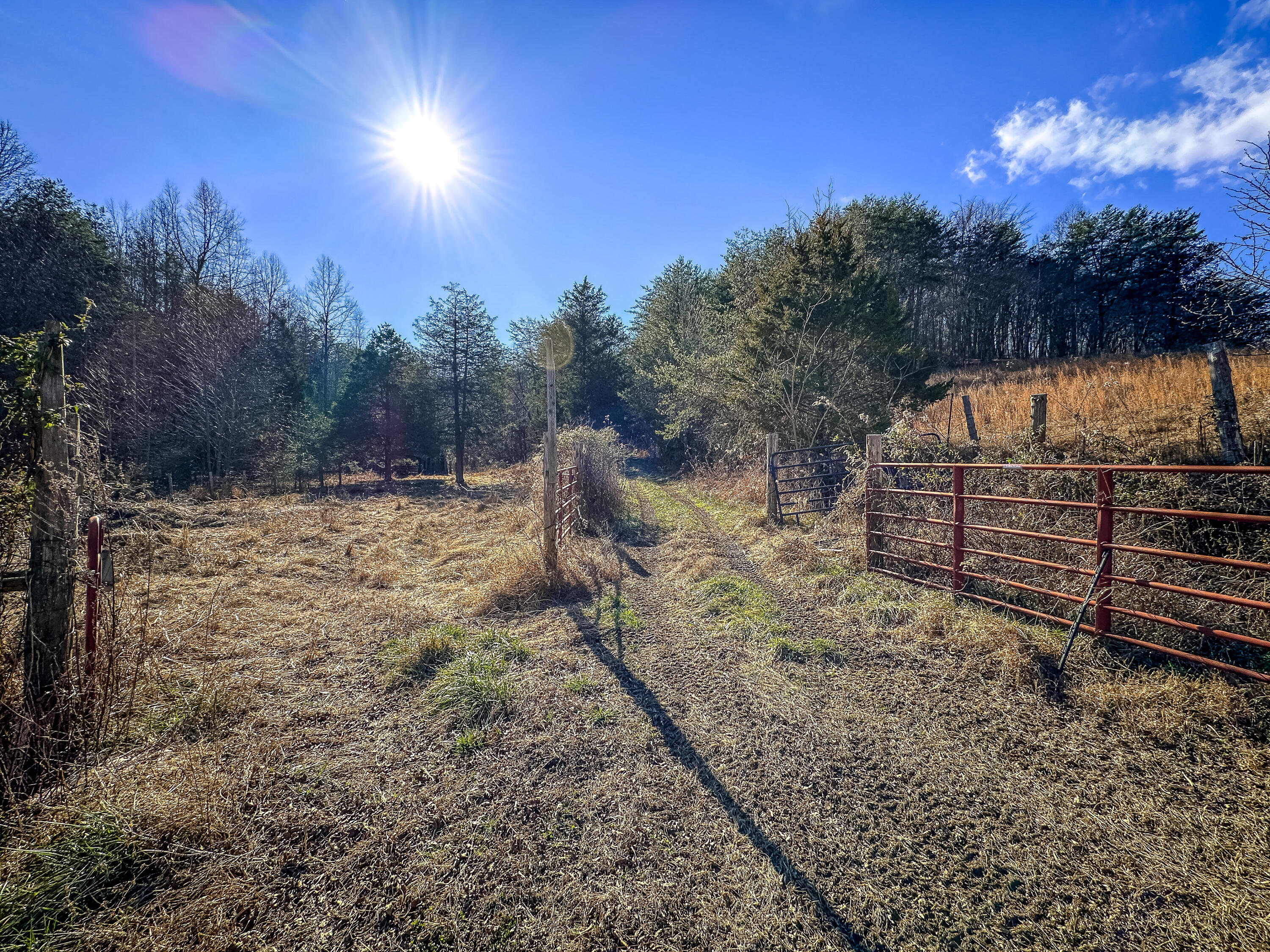 679 New Hope Church Road Property Photo 43