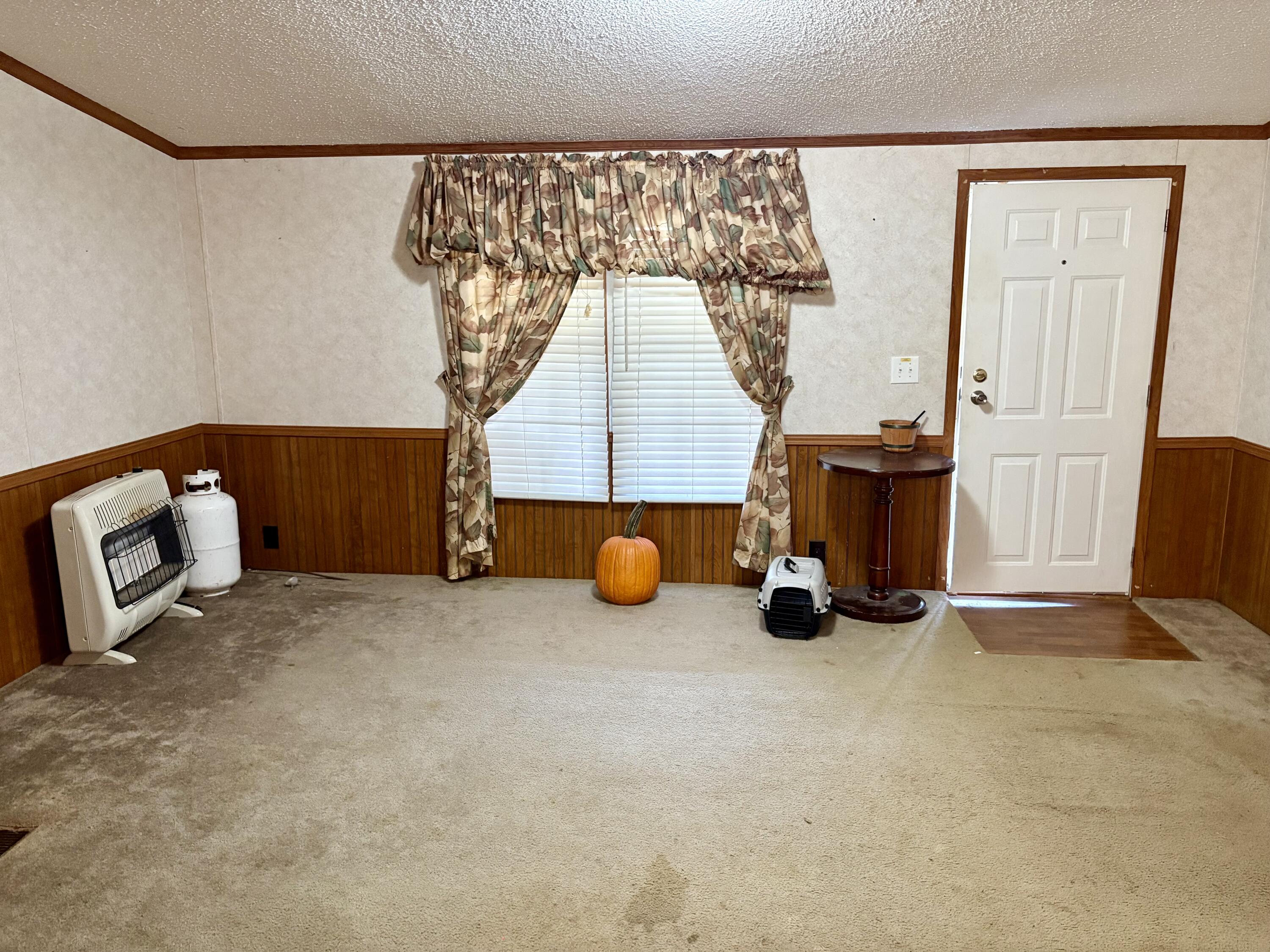 371 Jarvis Branch Road Property Photo 11