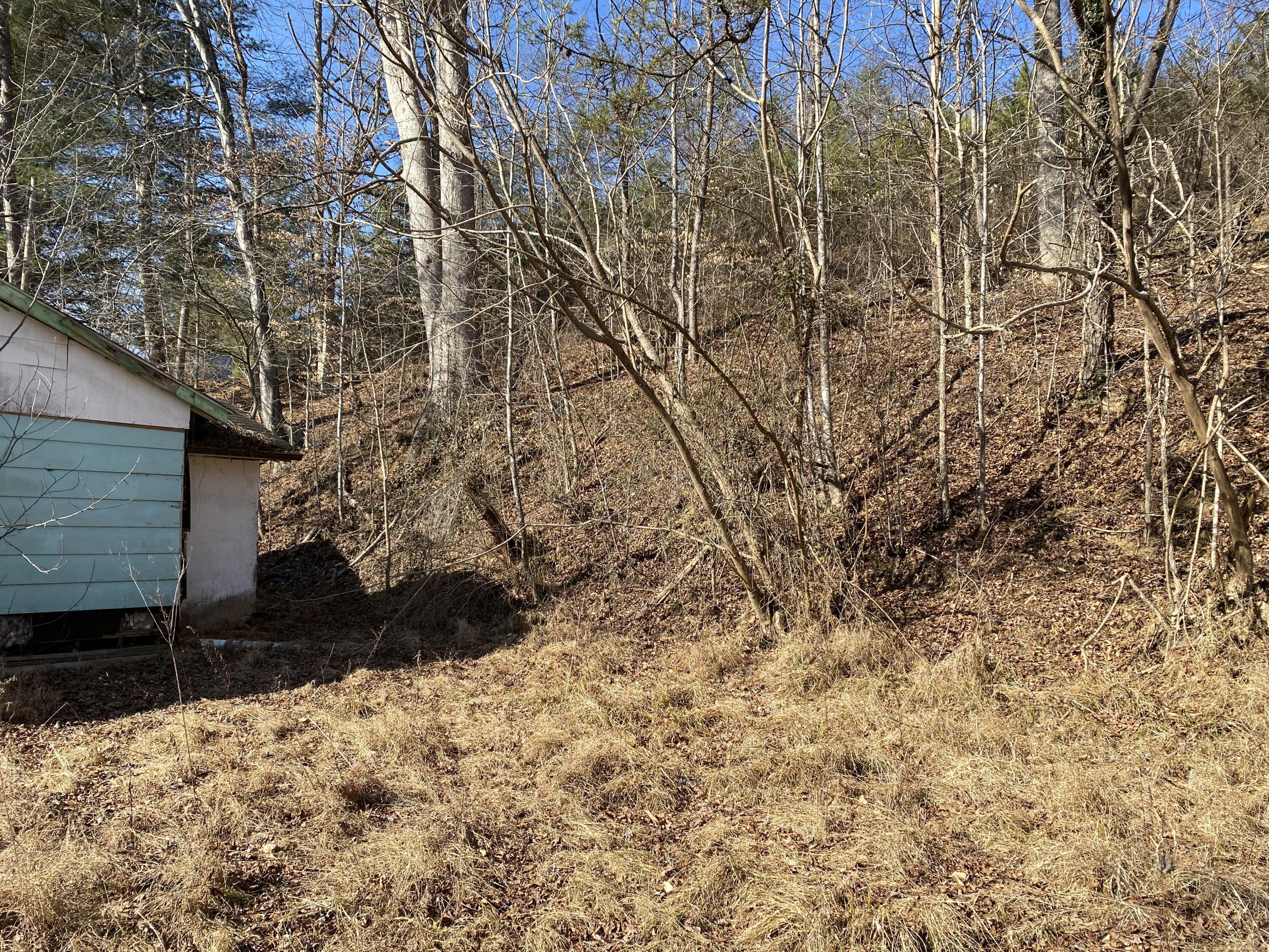 371 Jarvis Branch Road Property Photo 46