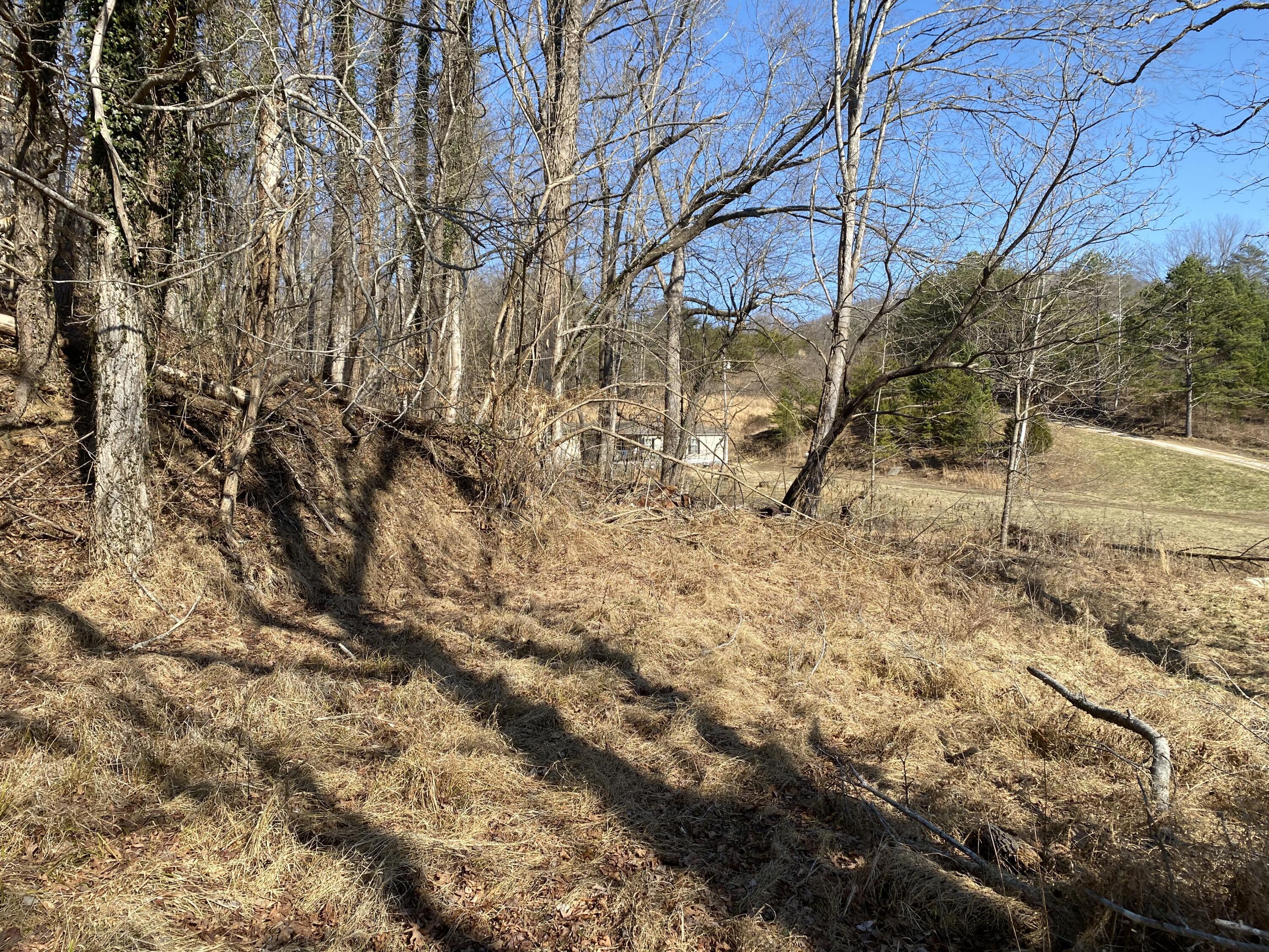 371 Jarvis Branch Road Property Photo 47