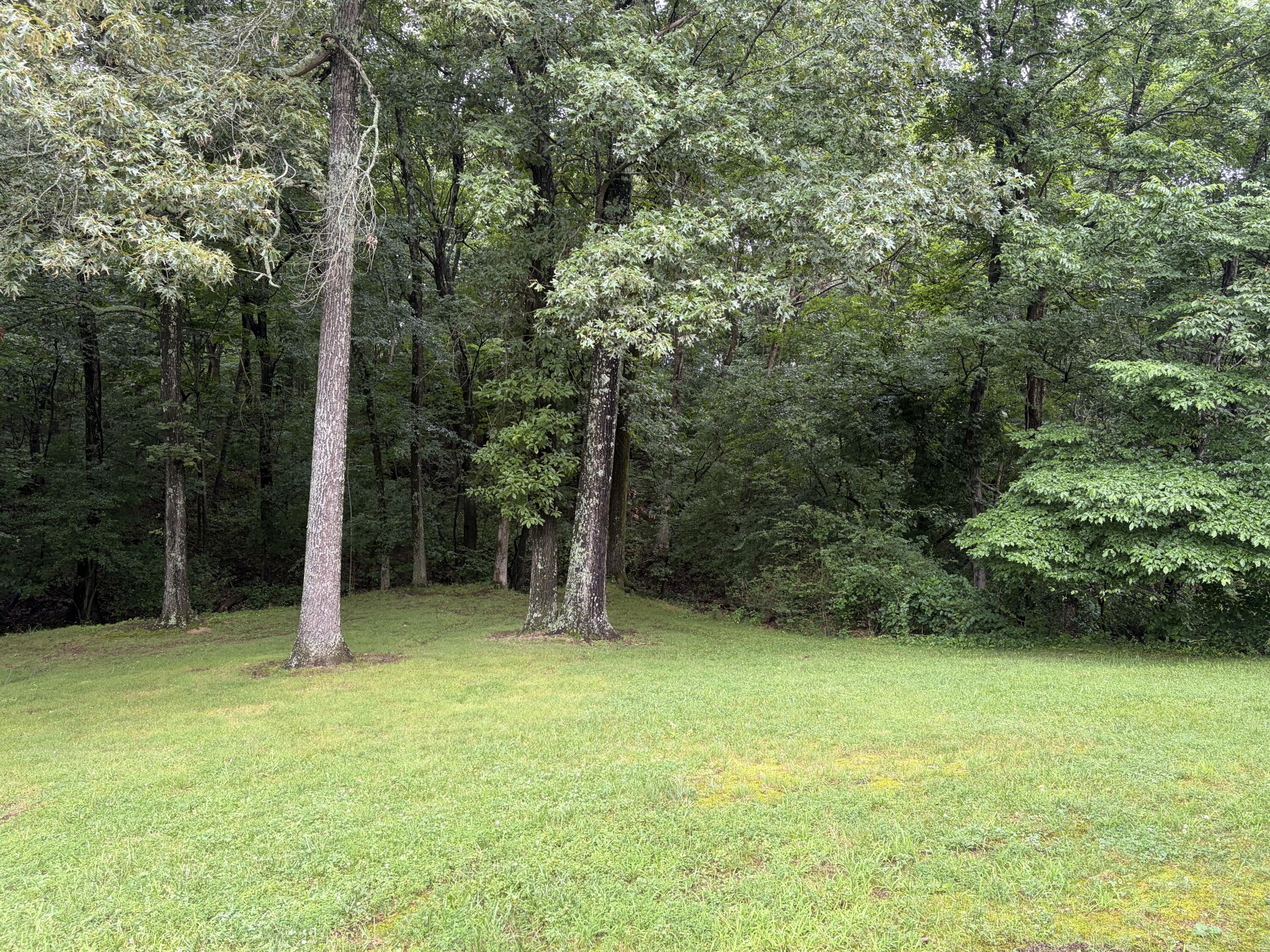 5650 Warrendale Drive Property Photo 58