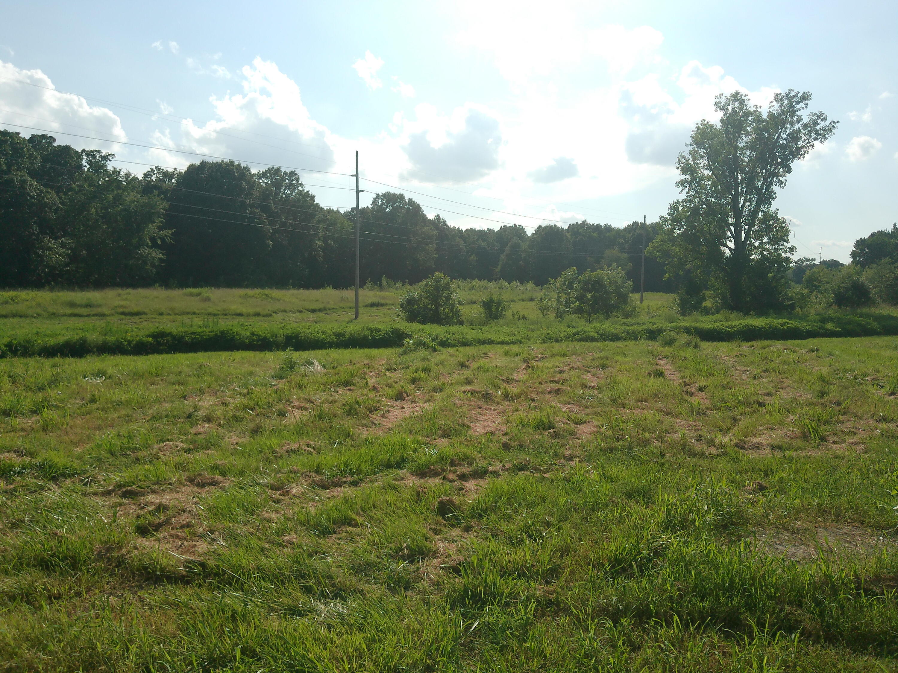 2631 Husband Road Property Photo 10