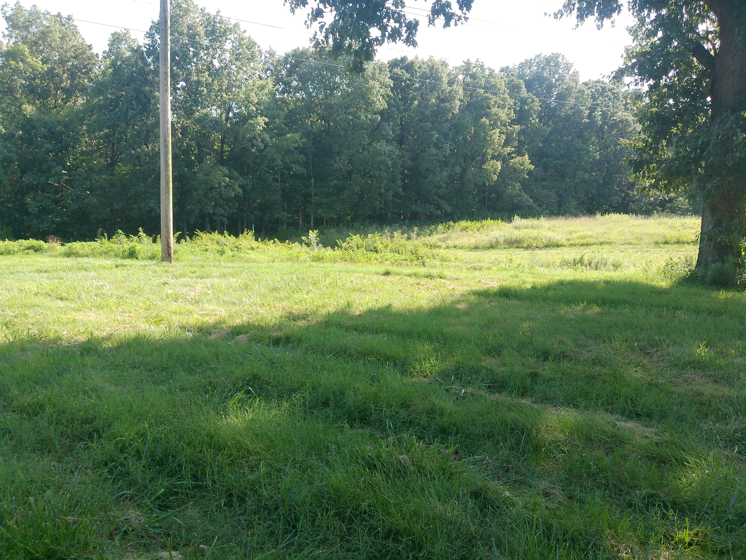 2631 Husband Road Property Photo 12