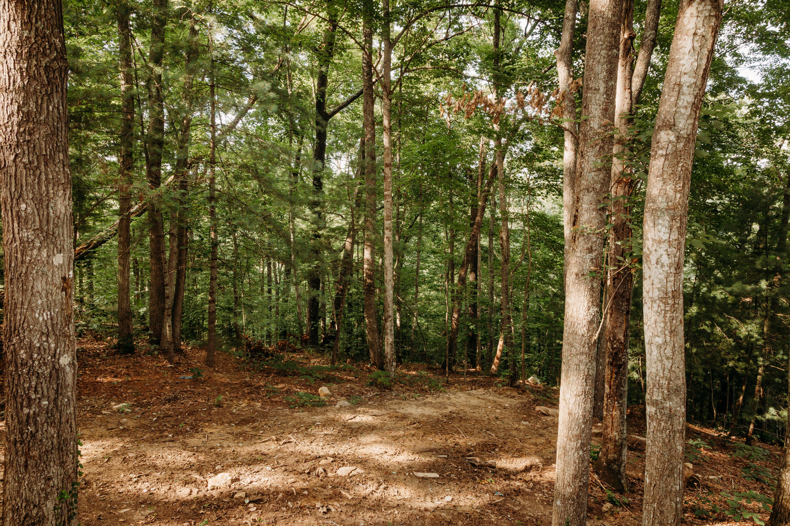 296 Pond Circle Road Property Photo 18