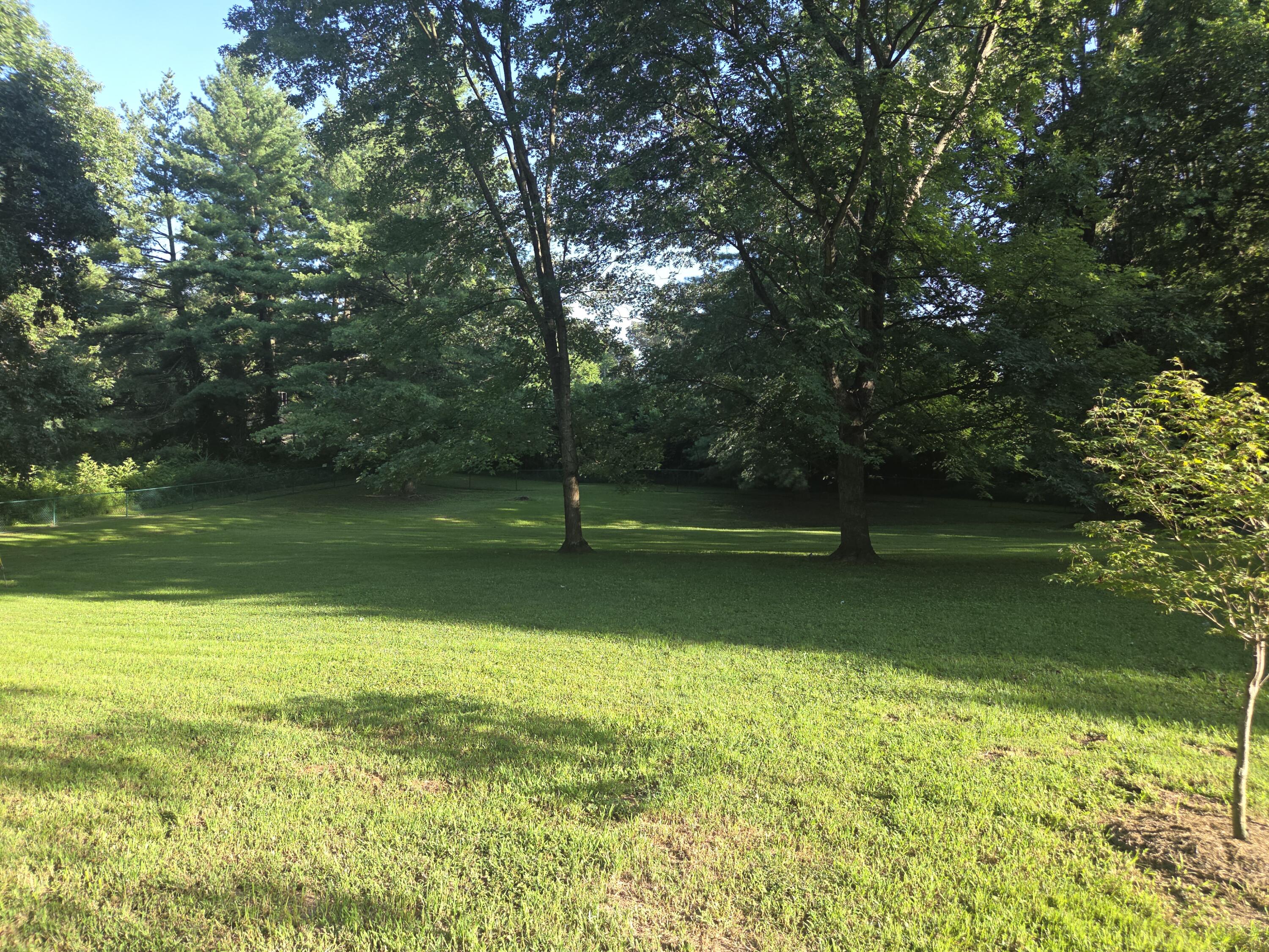 8810 Moore Road Property Photo 14