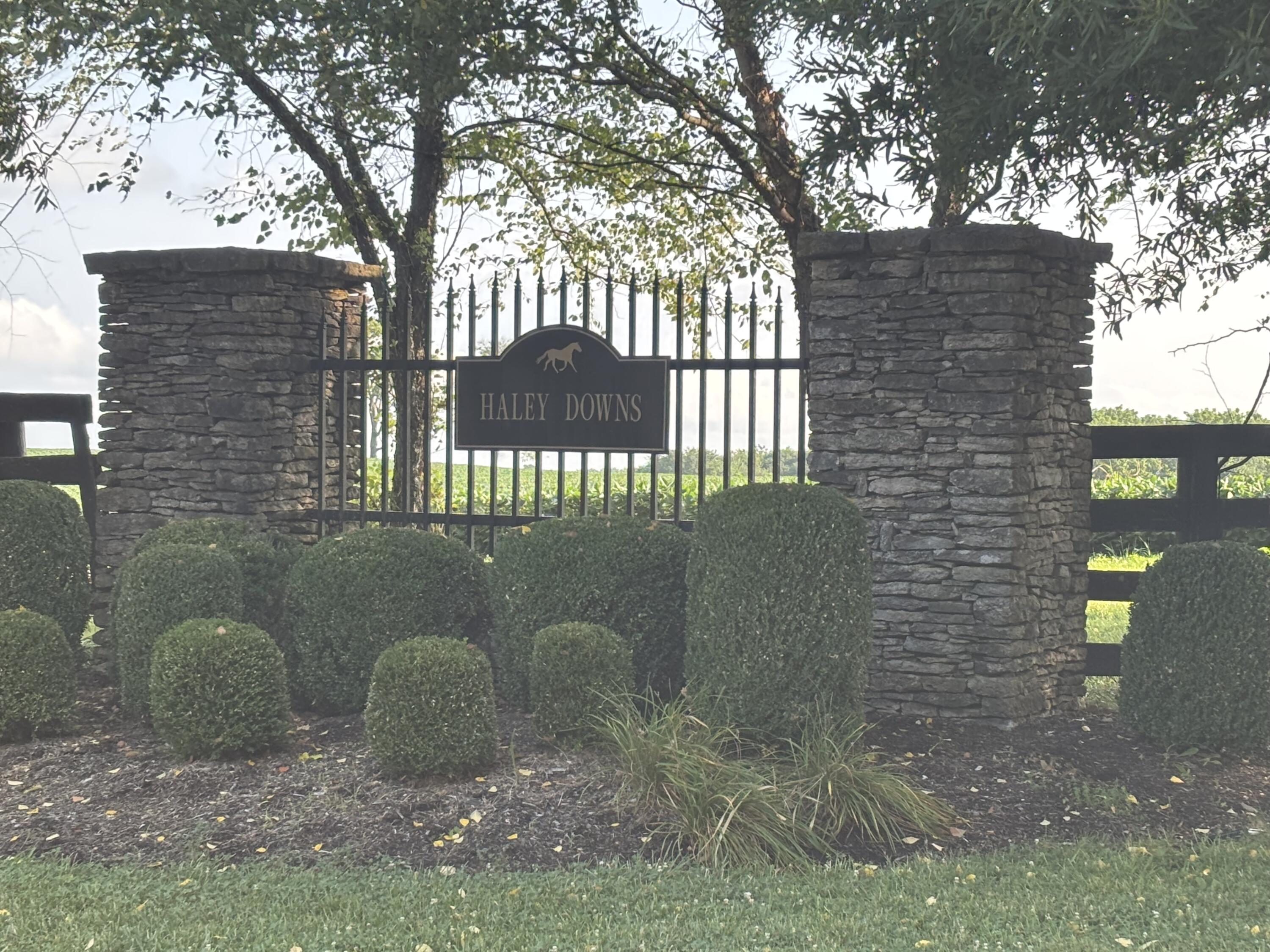 5450 Haley Downs Drive Property Photo 1