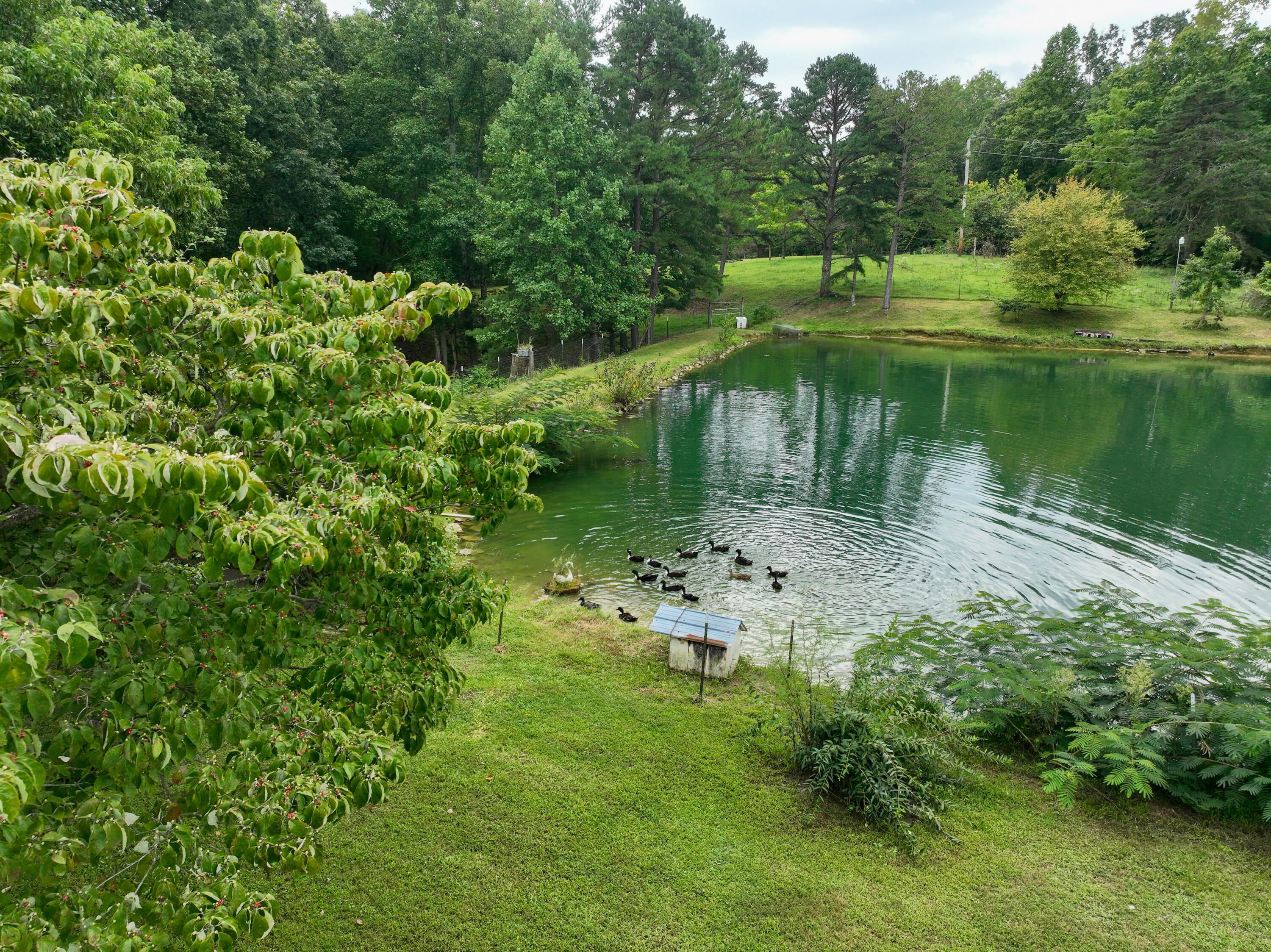 762 Jacks Ridge Road Property Photo 58
