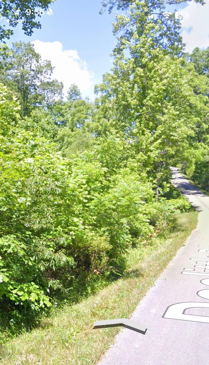 821 Doolittle Road Property Photo 2