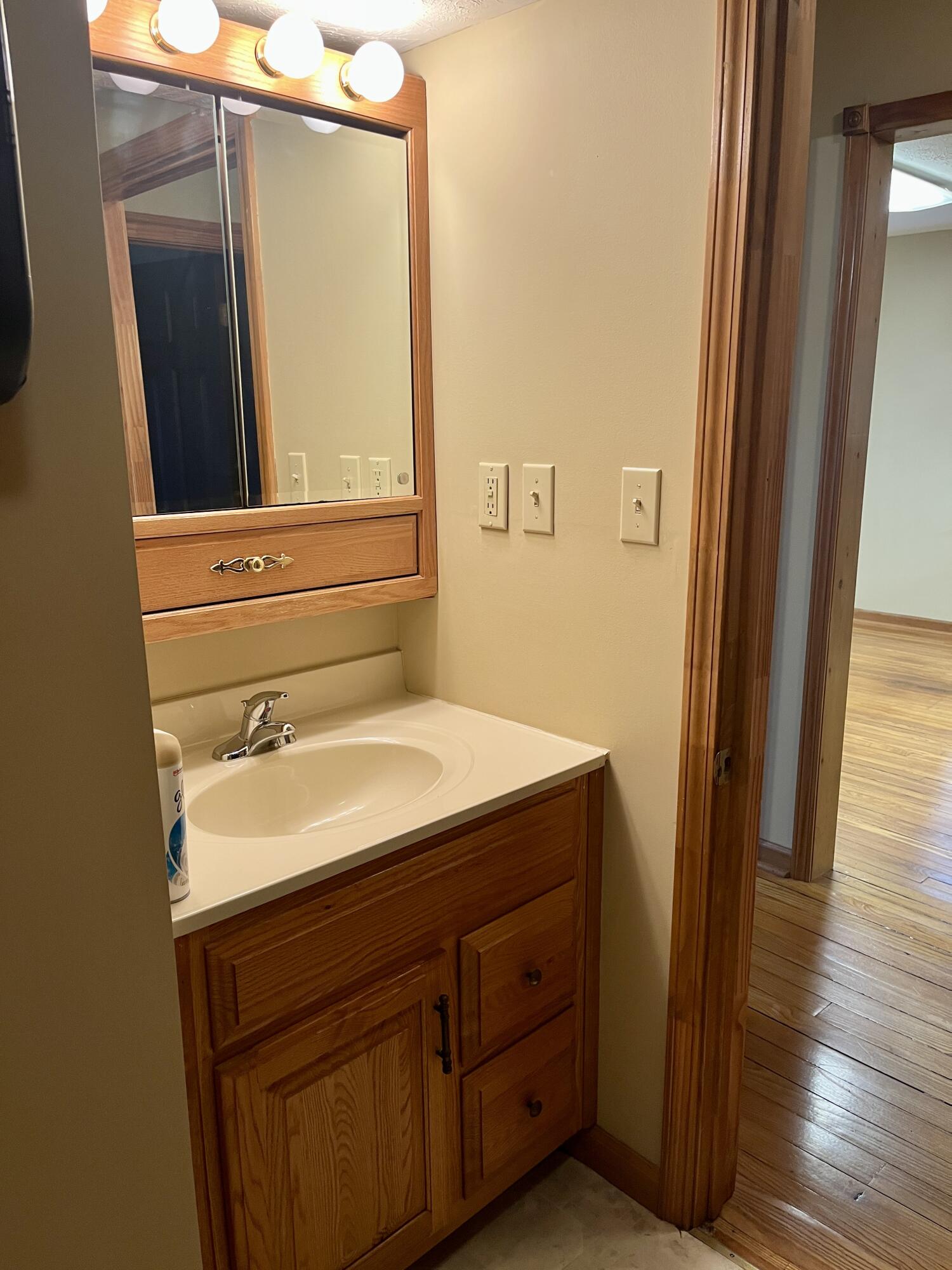 357 Langdon Street Property Photo 14