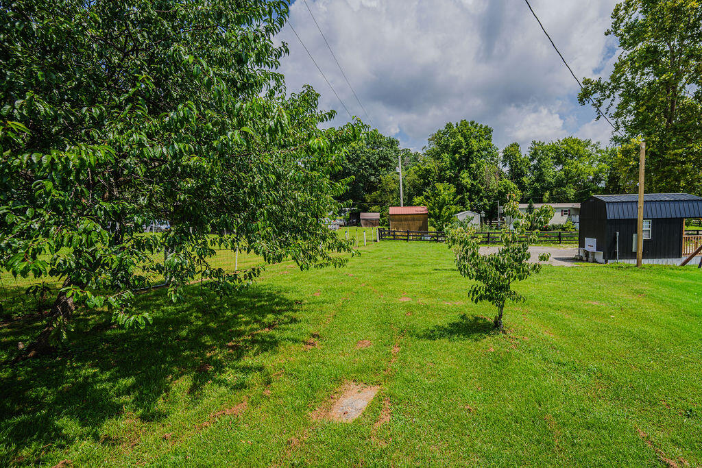 1019 Black Creek Road Property Photo 11