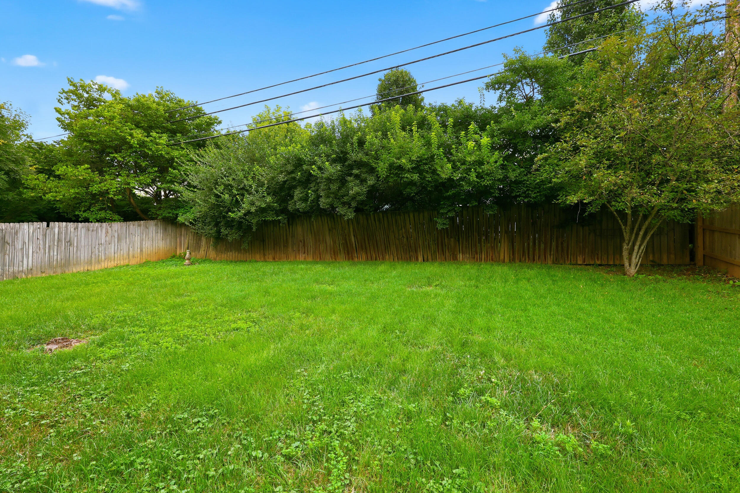 385 Whitfield Drive Property Photo 33