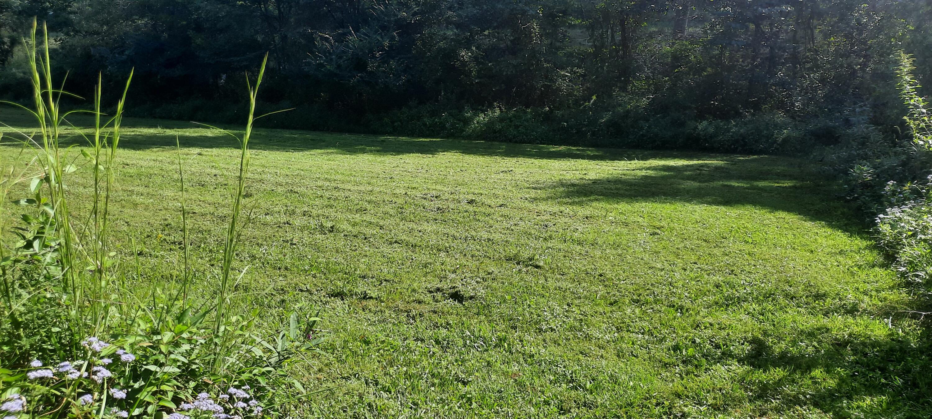 15 Renee Lane Property Photo 3
