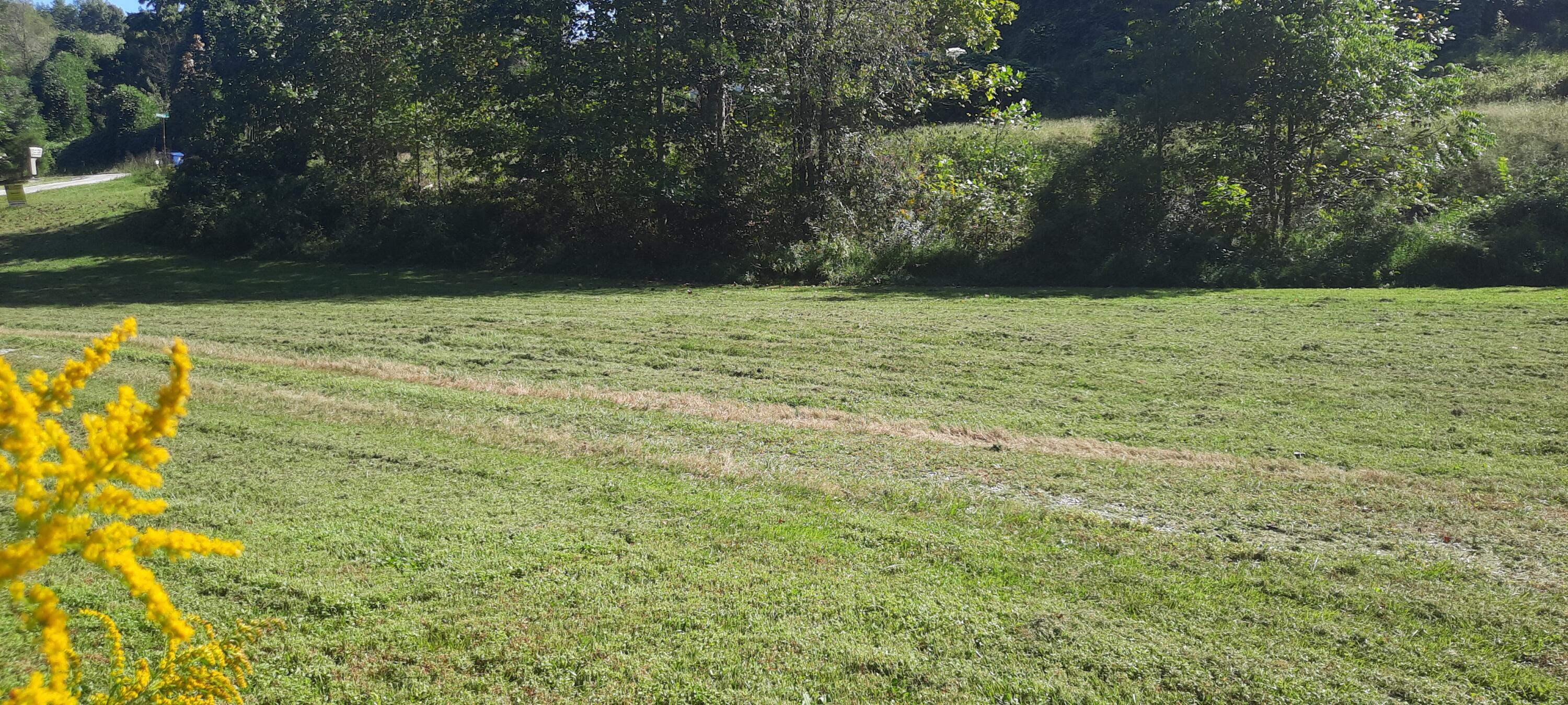 15 Renee Lane Property Photo 26