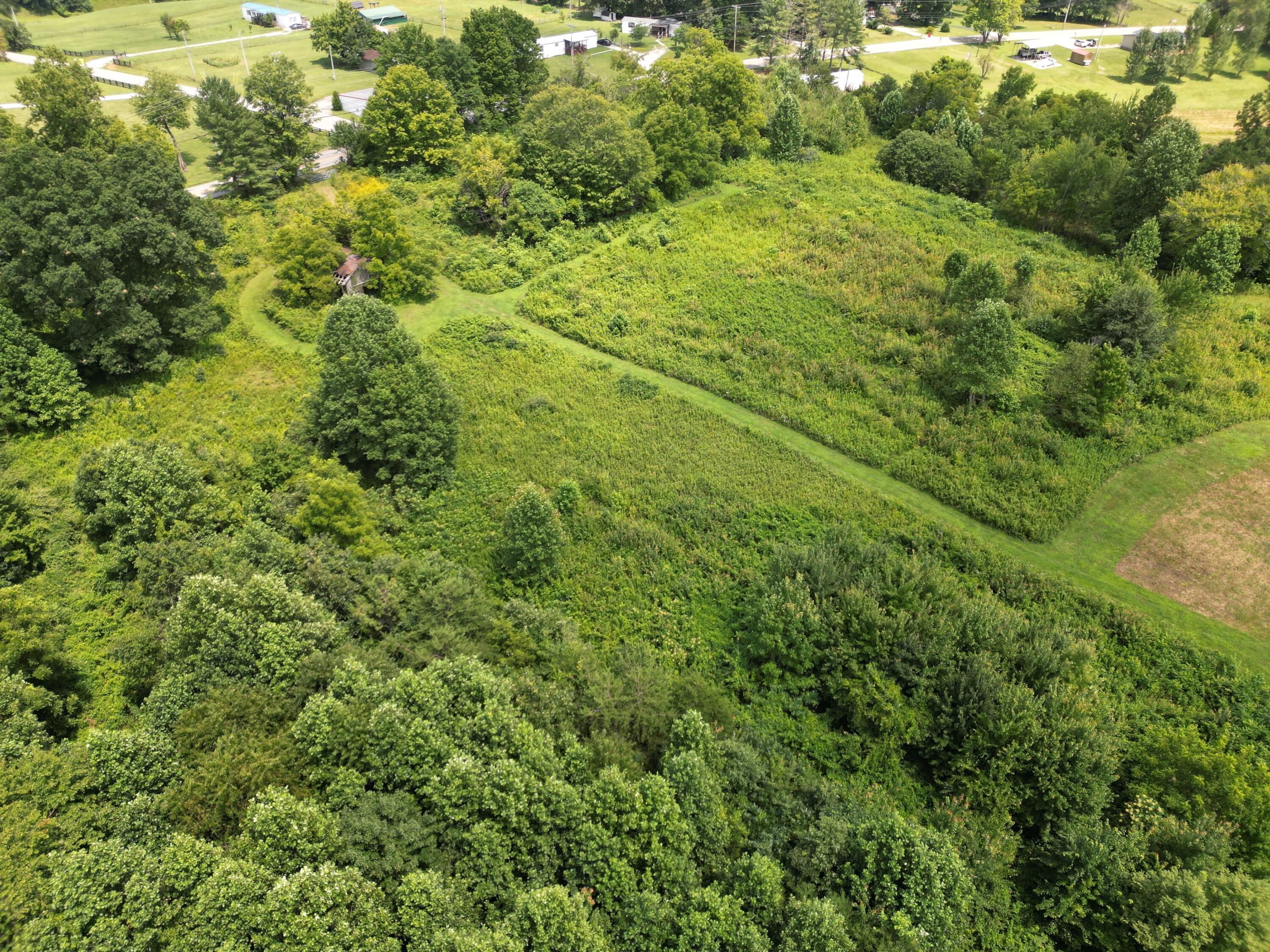 9991 Kentucky 490 Property Photo 6