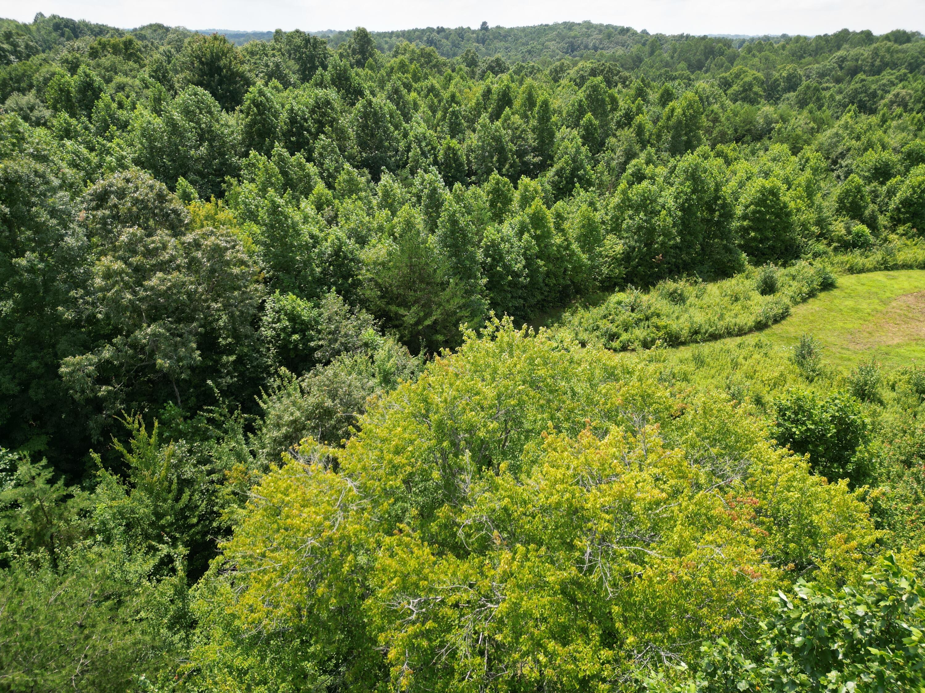 9991 Kentucky 490 Property Photo 11