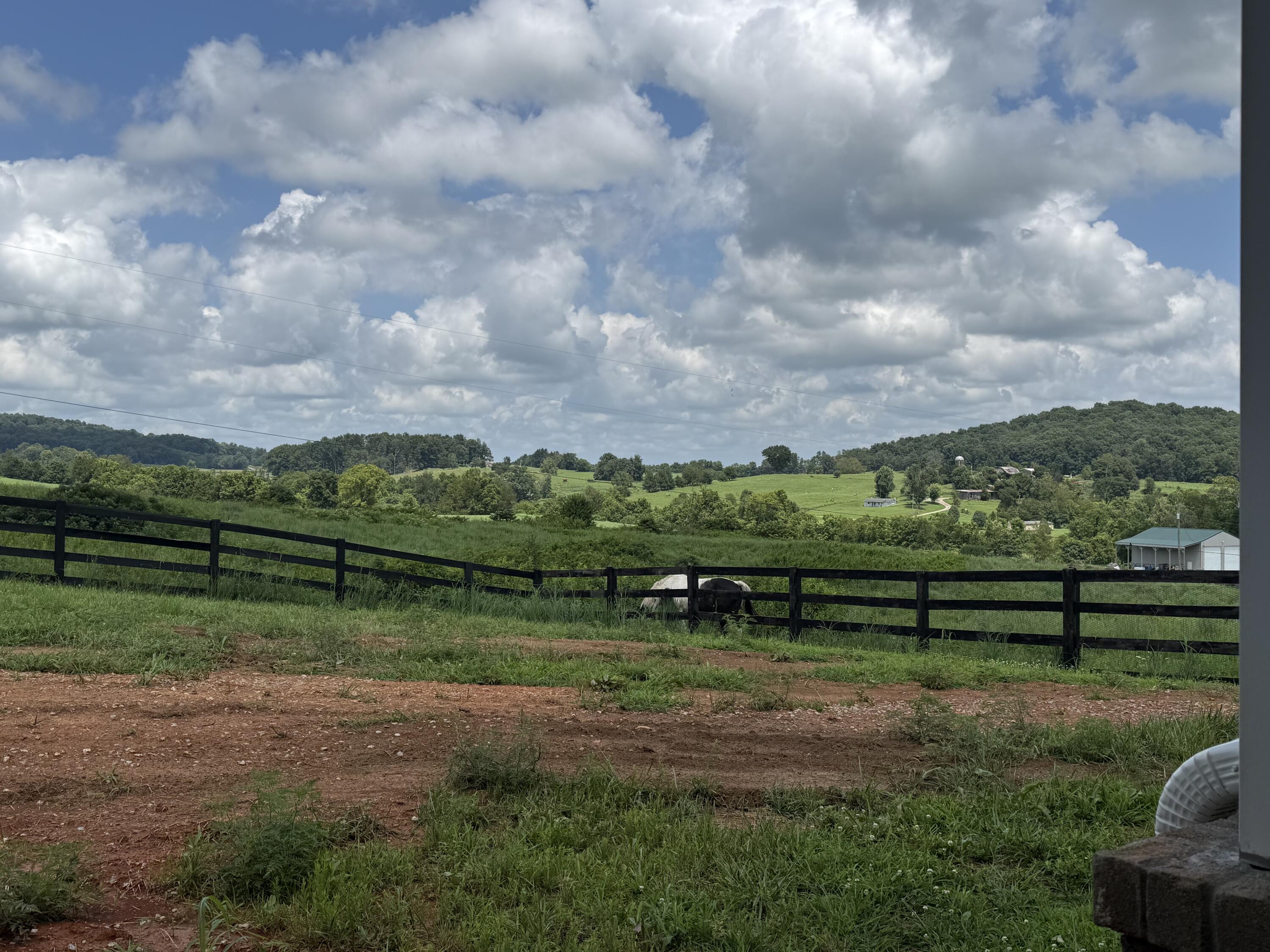 1615 White Road Property Photo 8