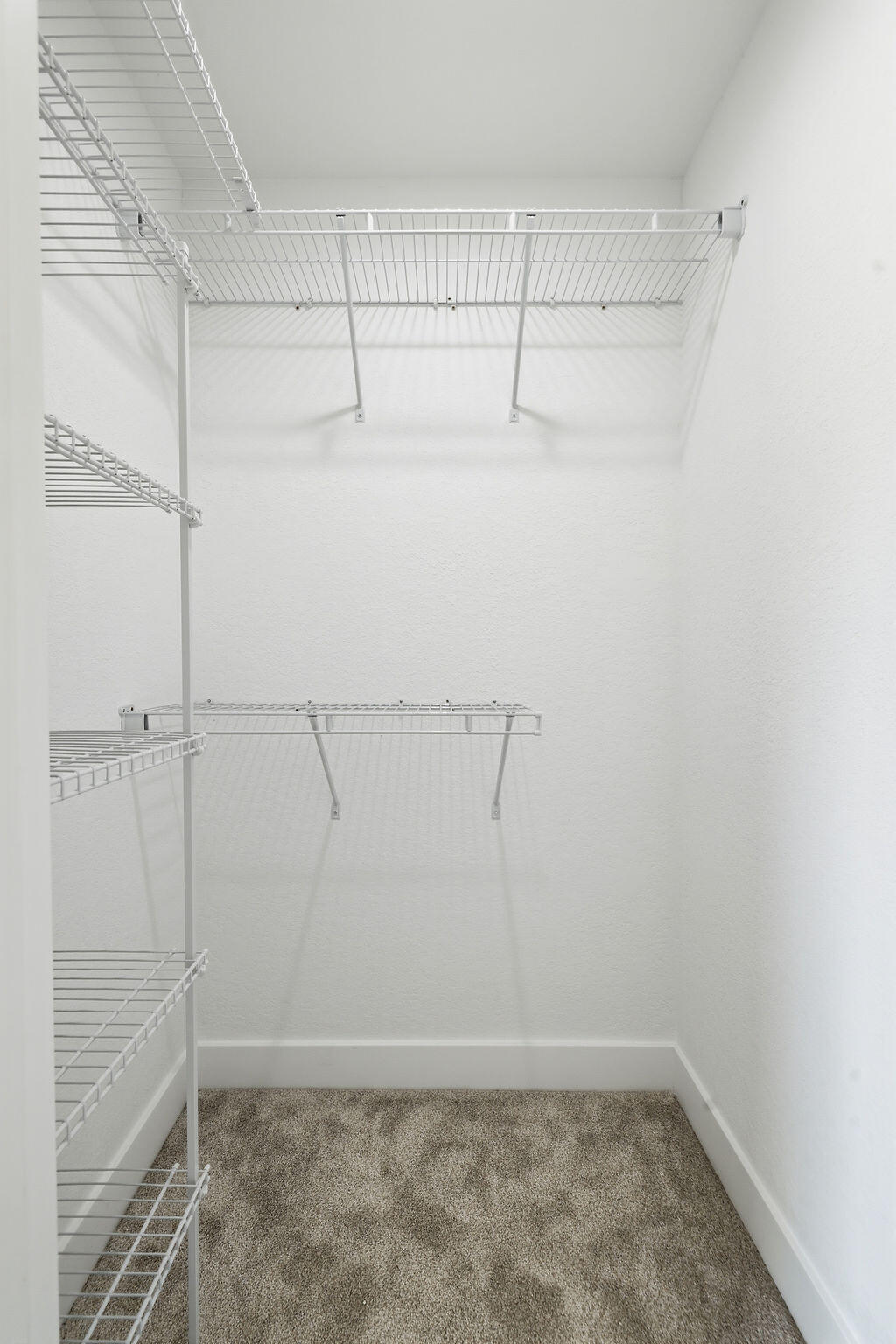 389 Washington Drive Property Photo 20