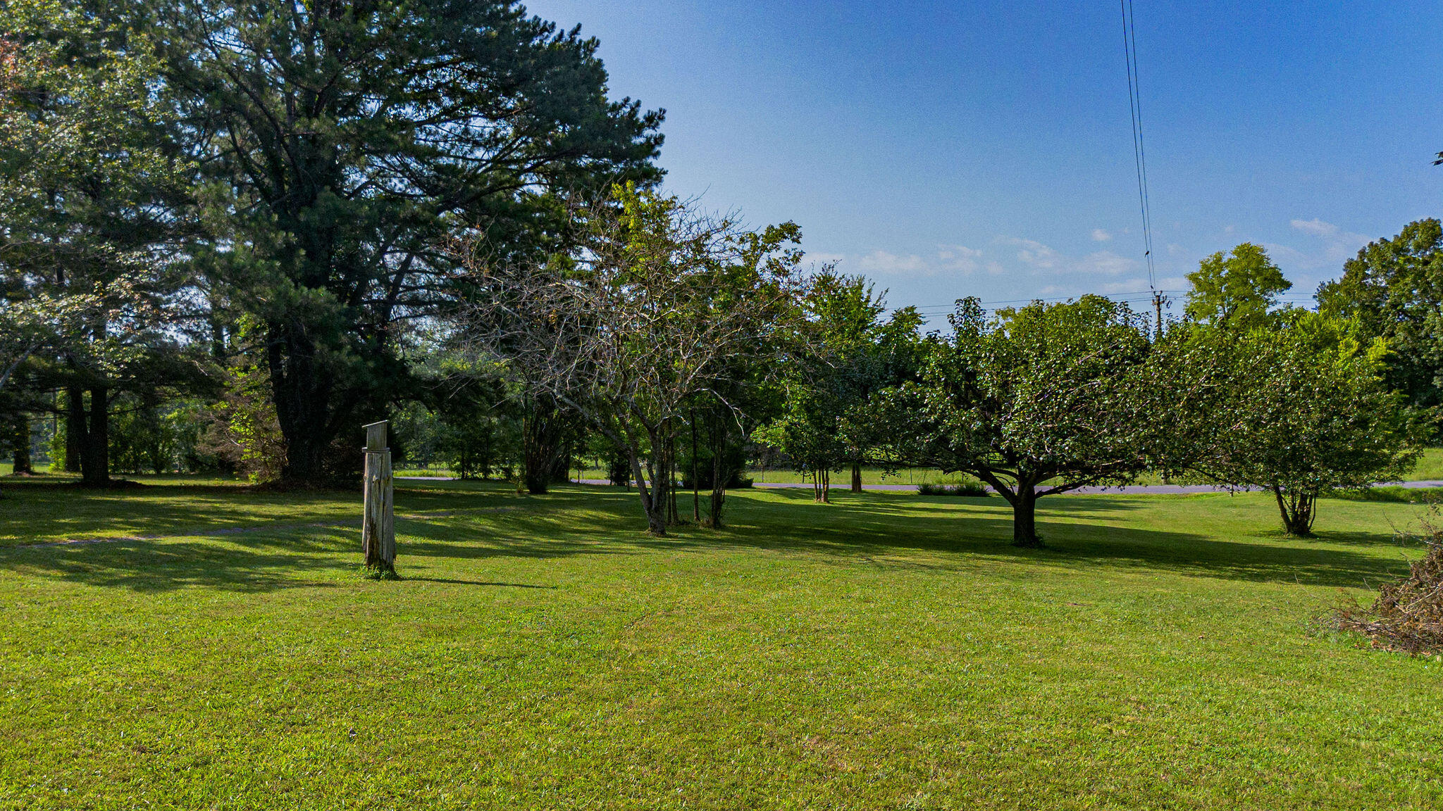 687 Reed Road Property Photo 23