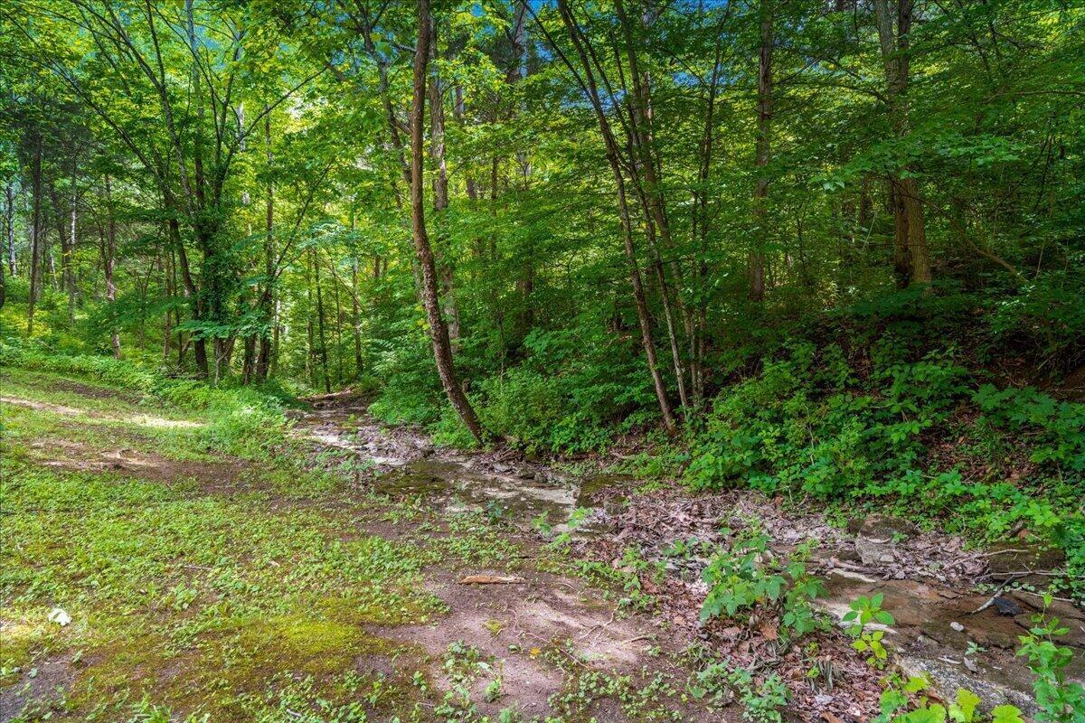 200 Old Log Lick Road Property Photo 70