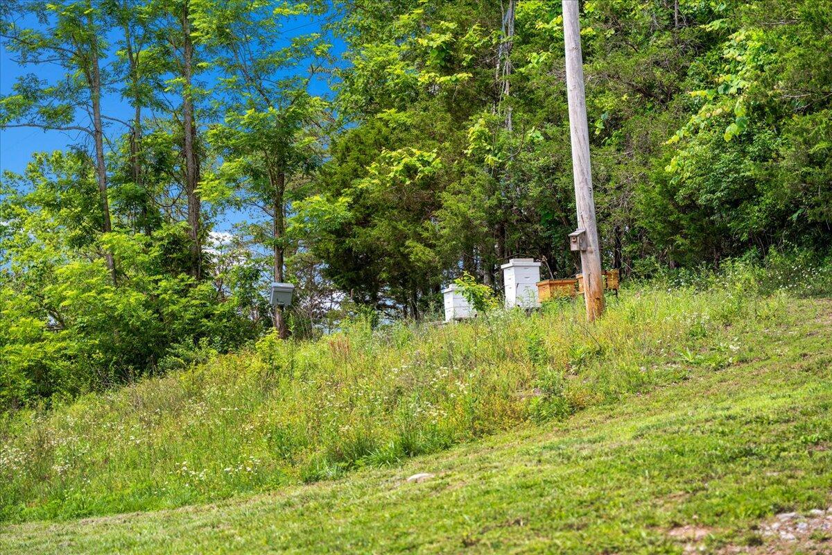 200 Old Log Lick Road Property Photo 71
