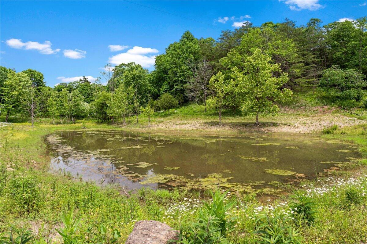 200 Old Log Lick Road Property Photo 72