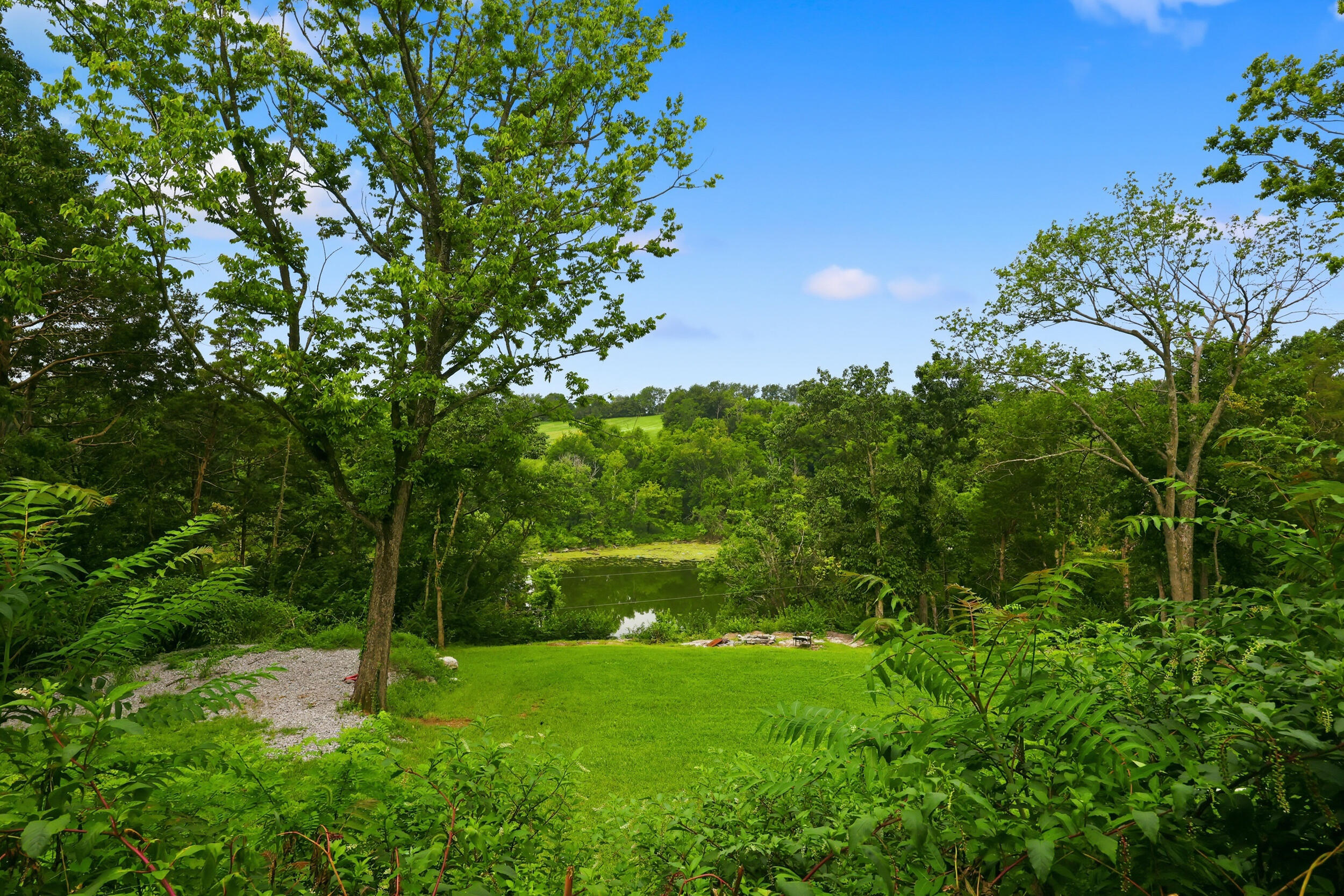 393 Kings Mill Road Property Photo 17
