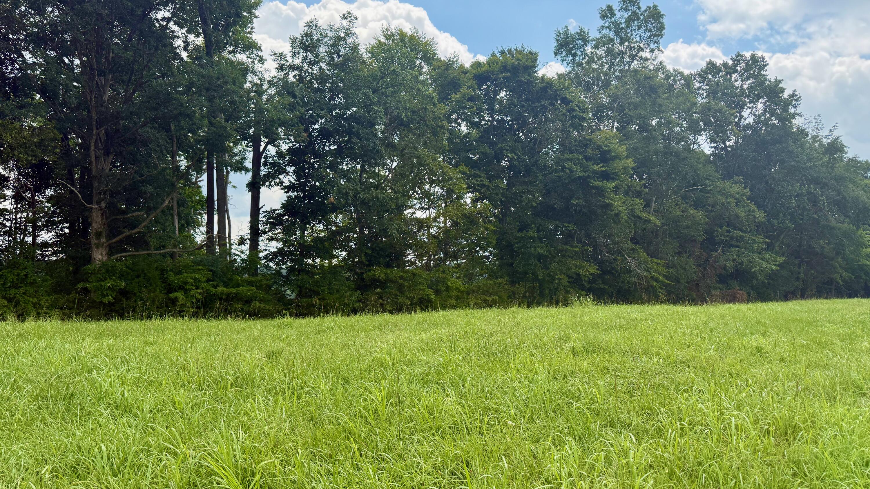 73 Meadows Loop Property Photo 2