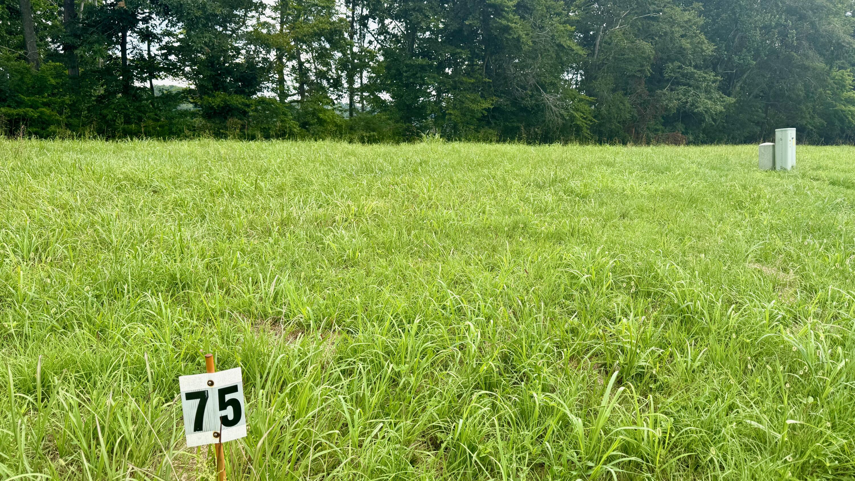 73 Meadows Loop Property Photo 4