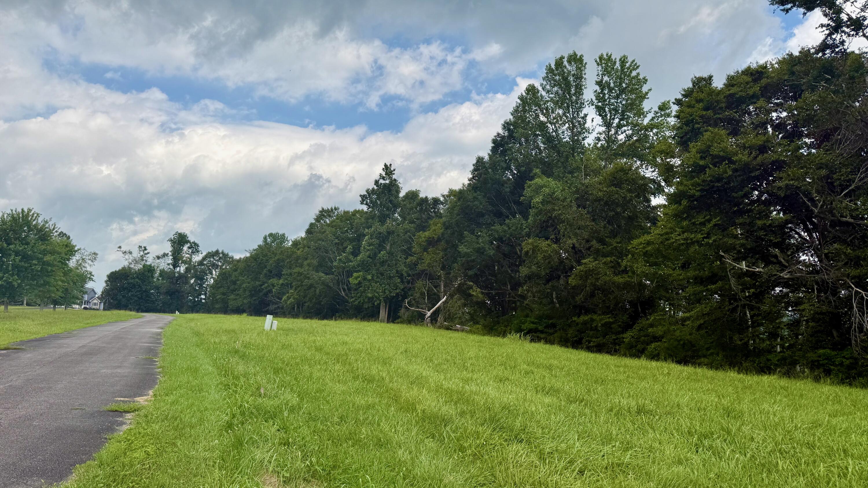 73 Meadows Loop Property Photo 5
