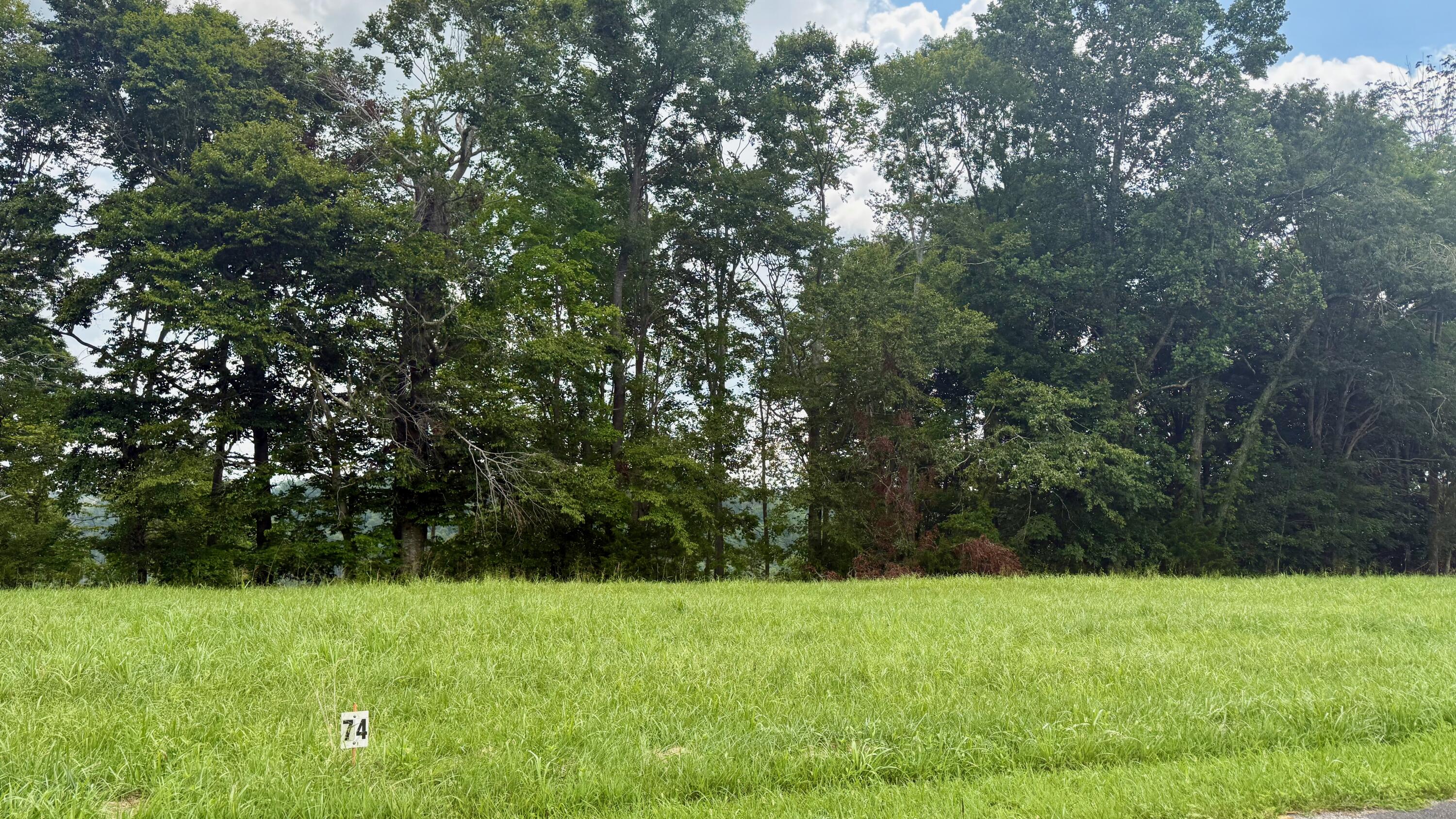 73 Meadows Loop Property Photo 9