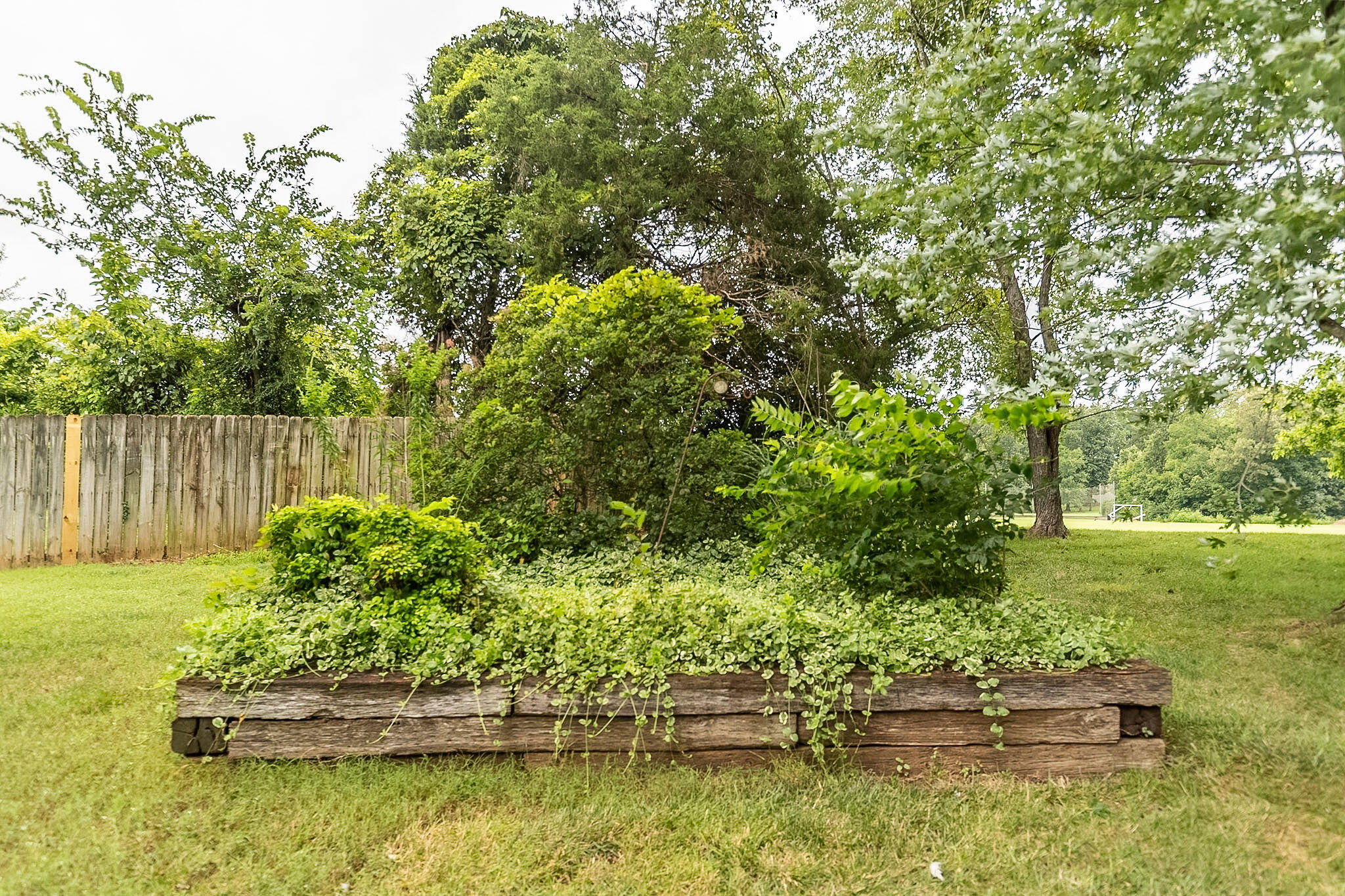 302 Springmont Drive Property Photo 5
