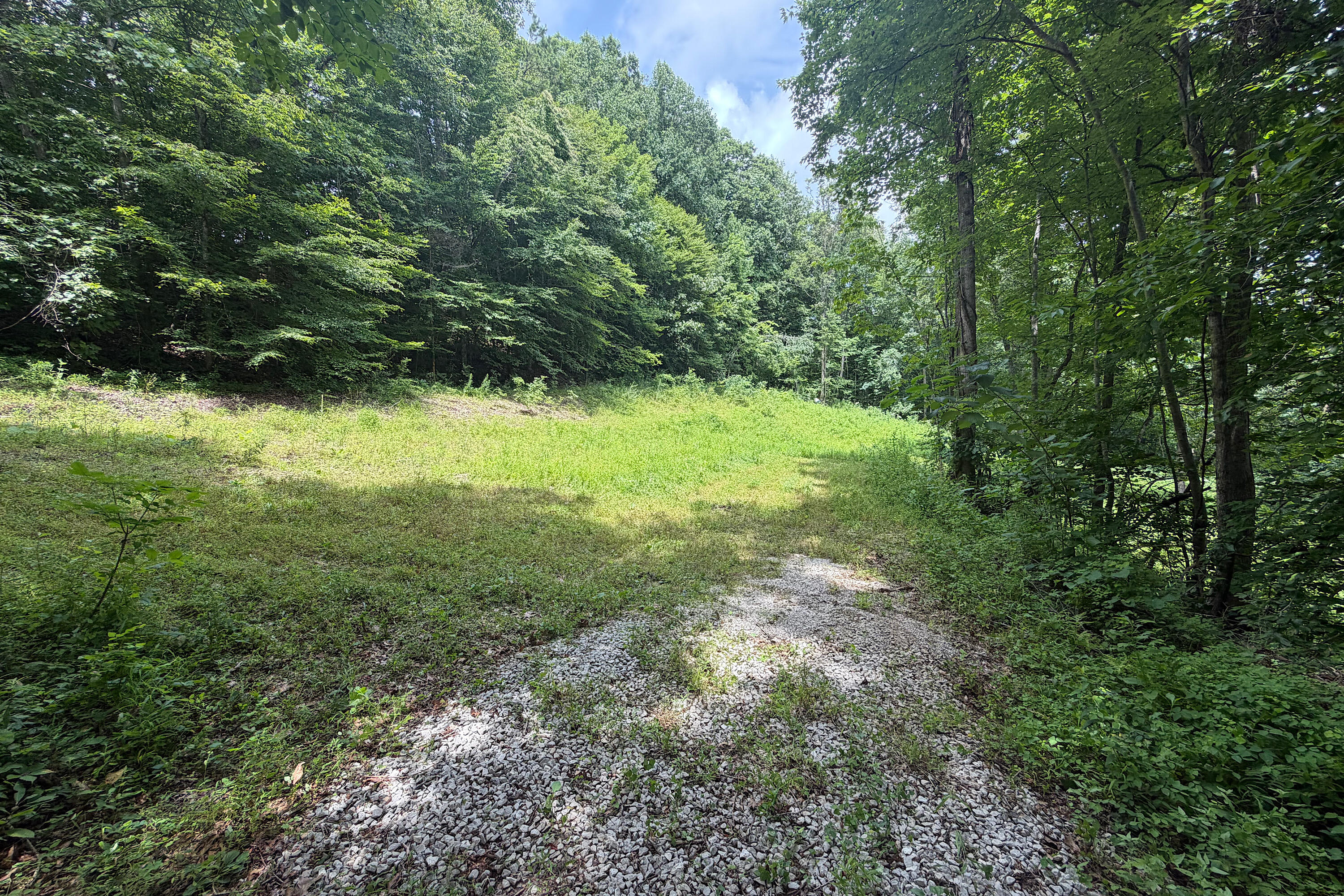 4813 Brammer Hill Ridge Road Property Photo 6