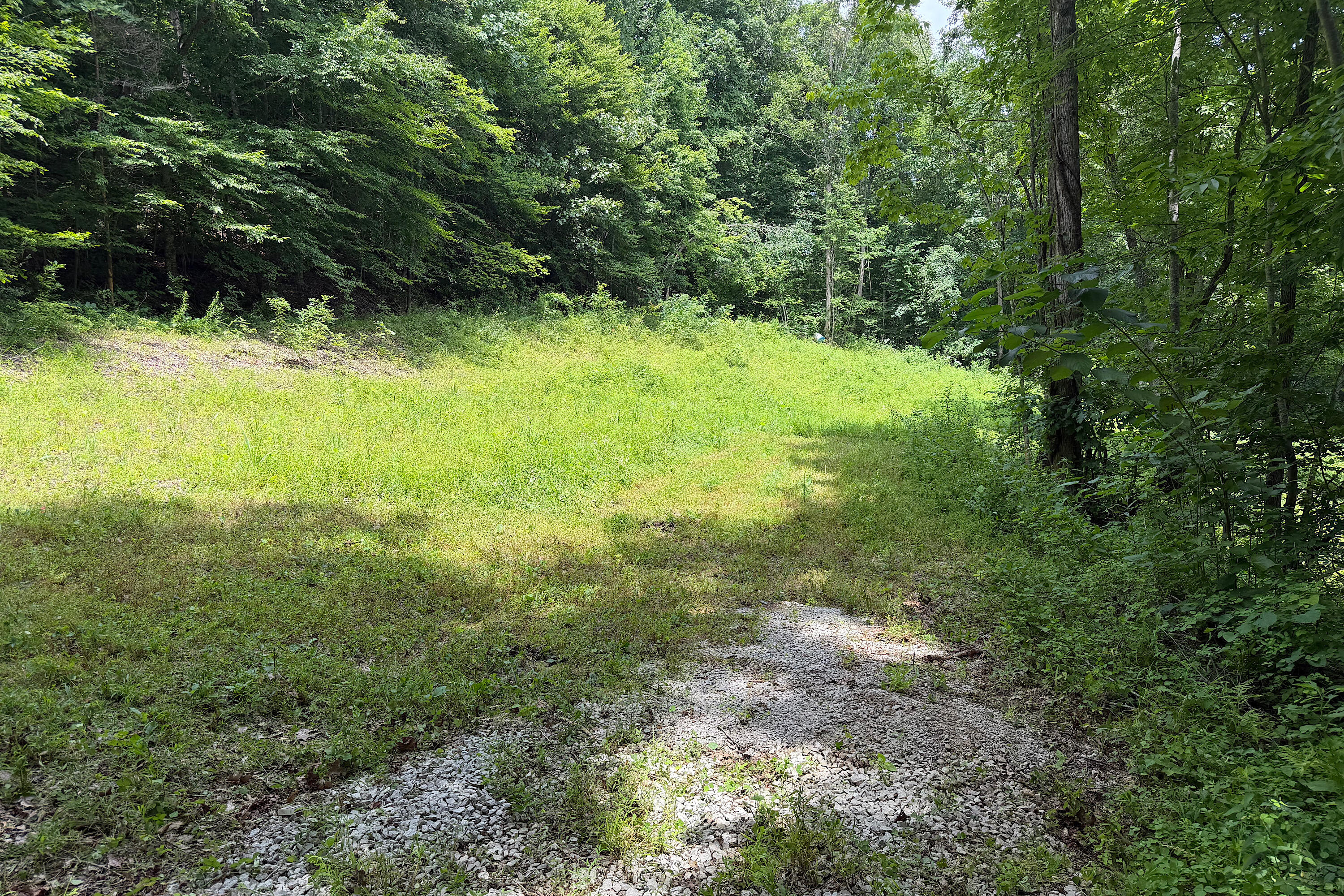 4813 Brammer Hill Ridge Road Property Photo 7