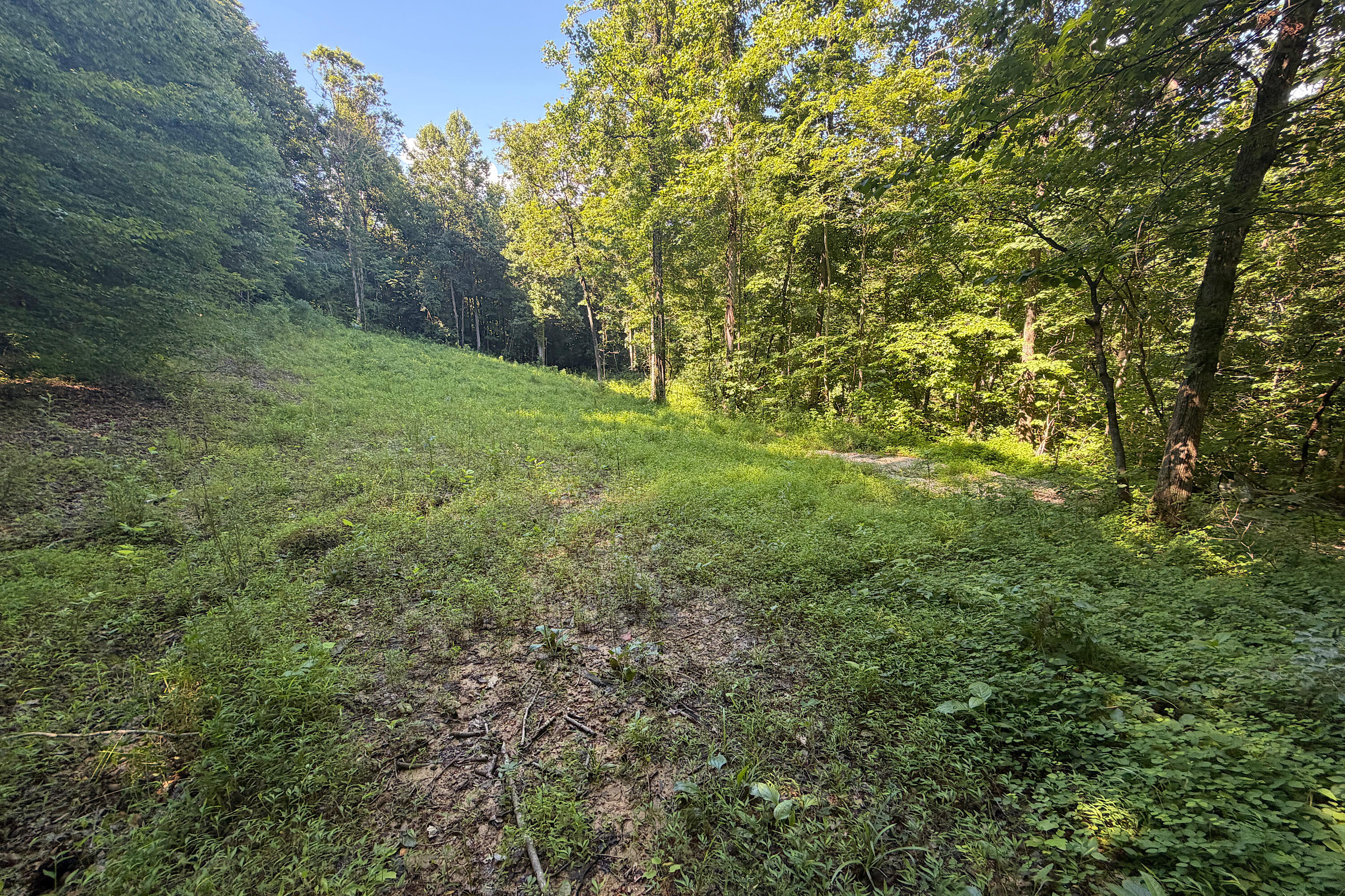 4813 Brammer Hill Ridge Road Property Photo 8