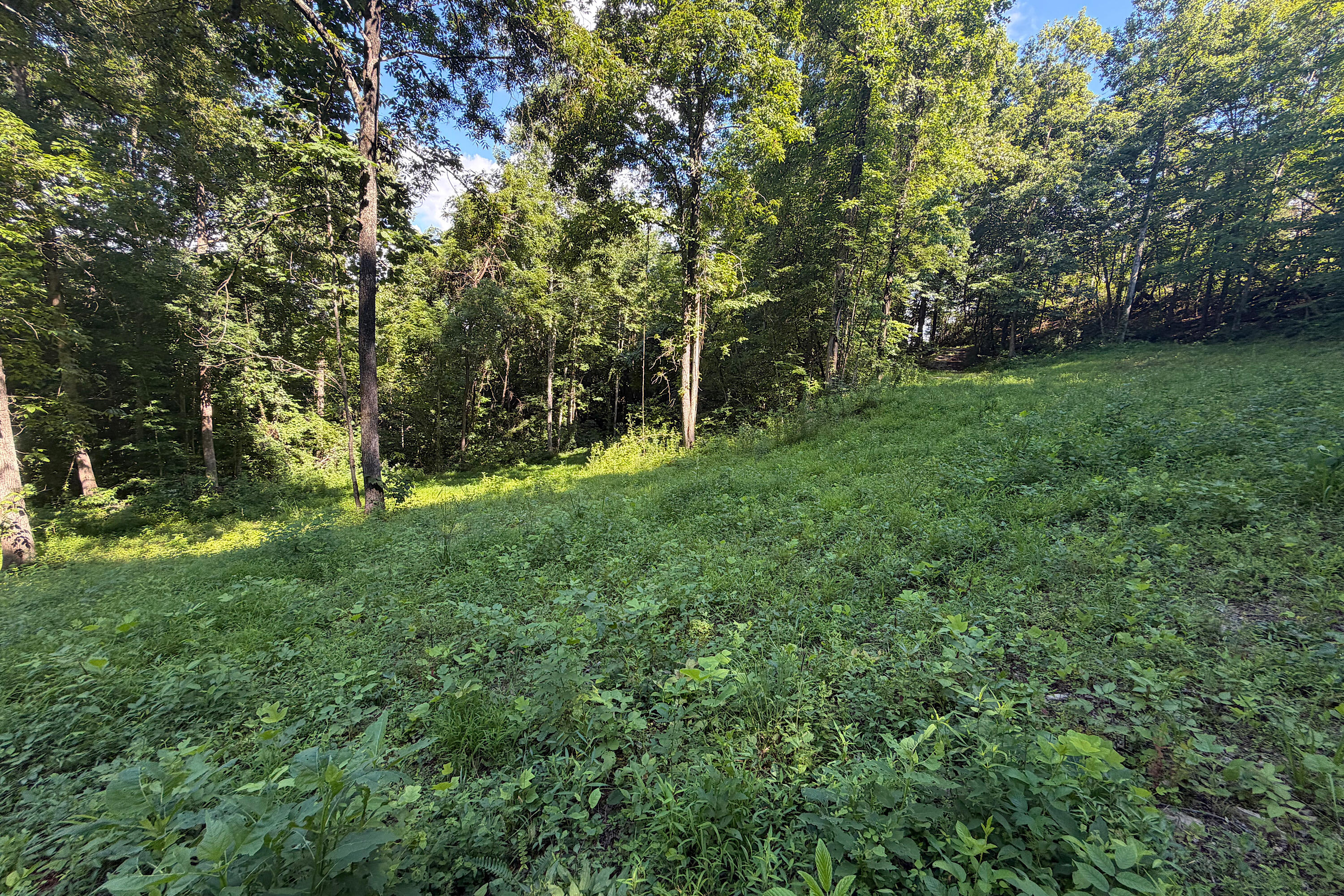 4813 Brammer Hill Ridge Road Property Photo 9
