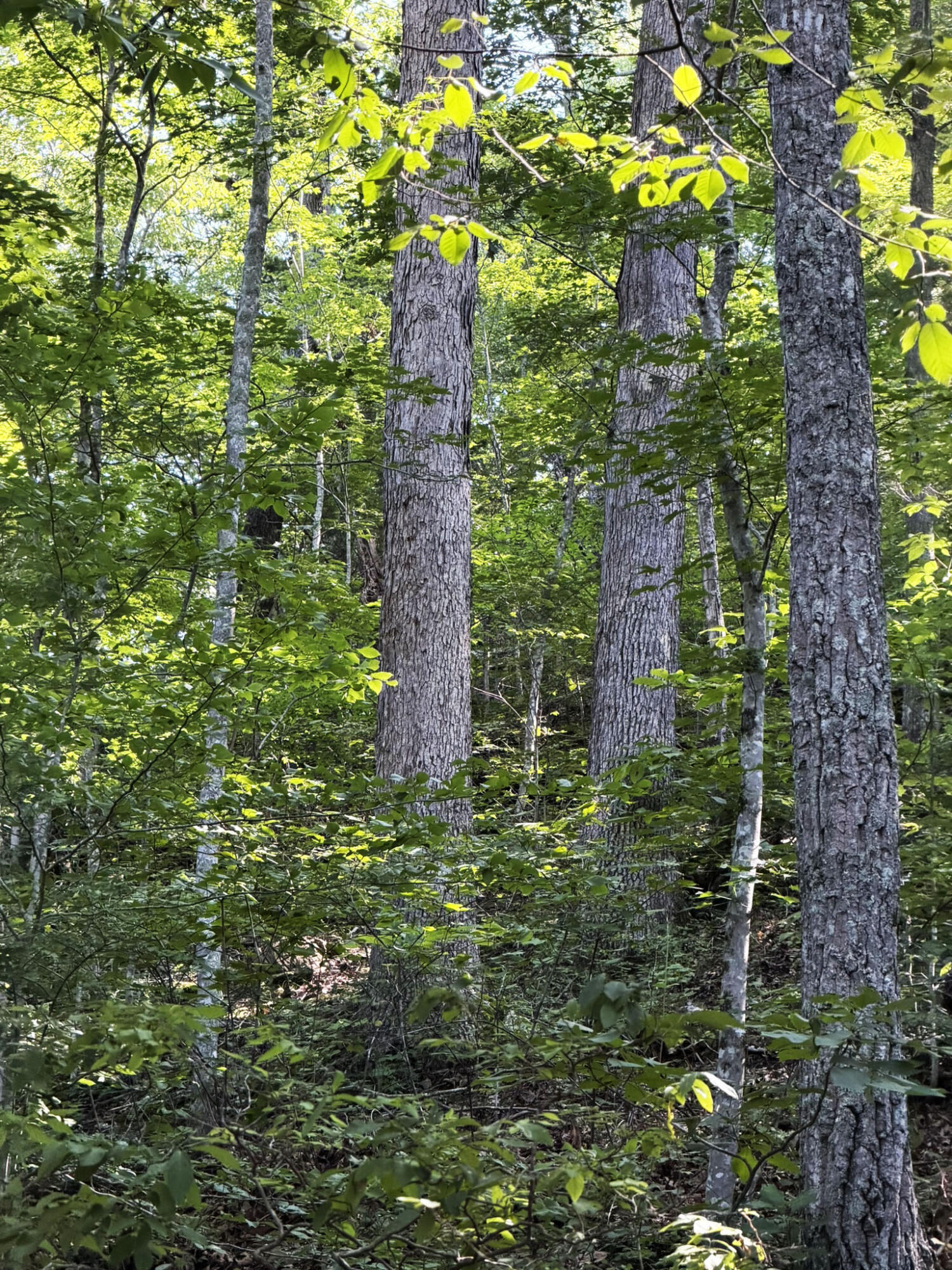 3000 Miller Creek Road Property Photo 3