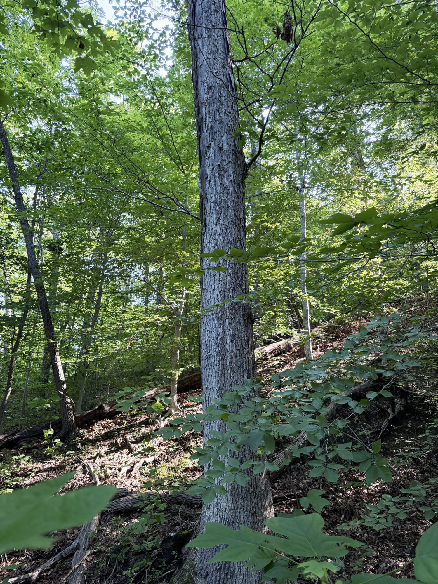 3000 Miller Creek Road Property Photo 22
