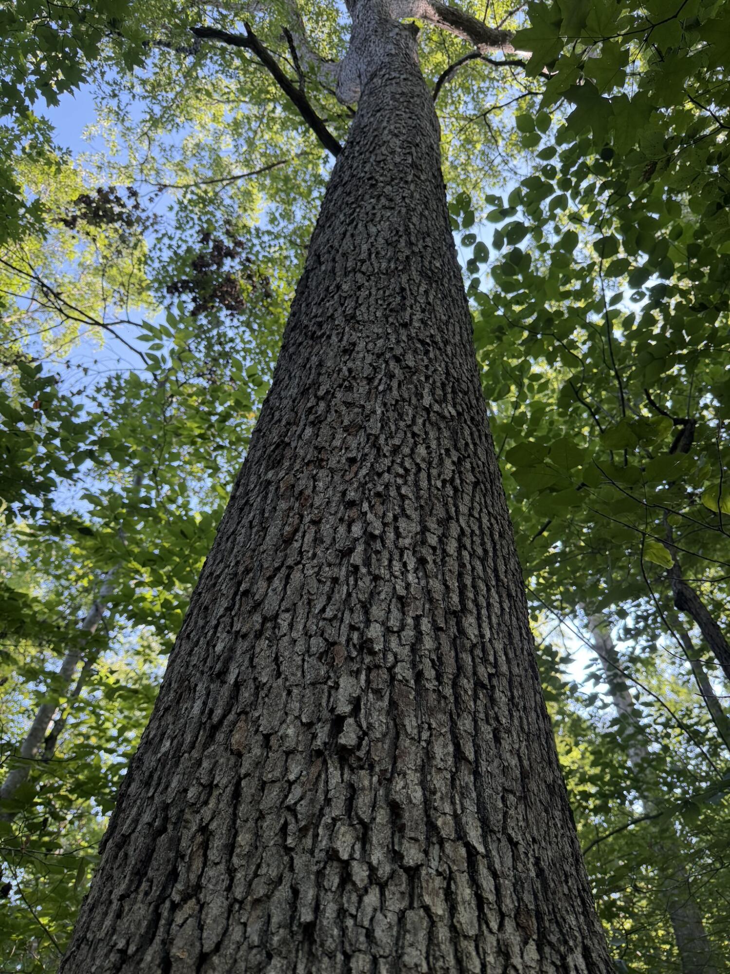 3000 Miller Creek Road Property Photo 25
