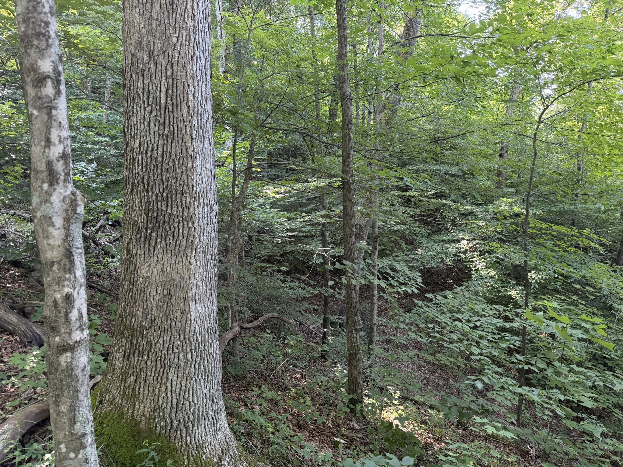 3000 Miller Creek Road Property Photo 27