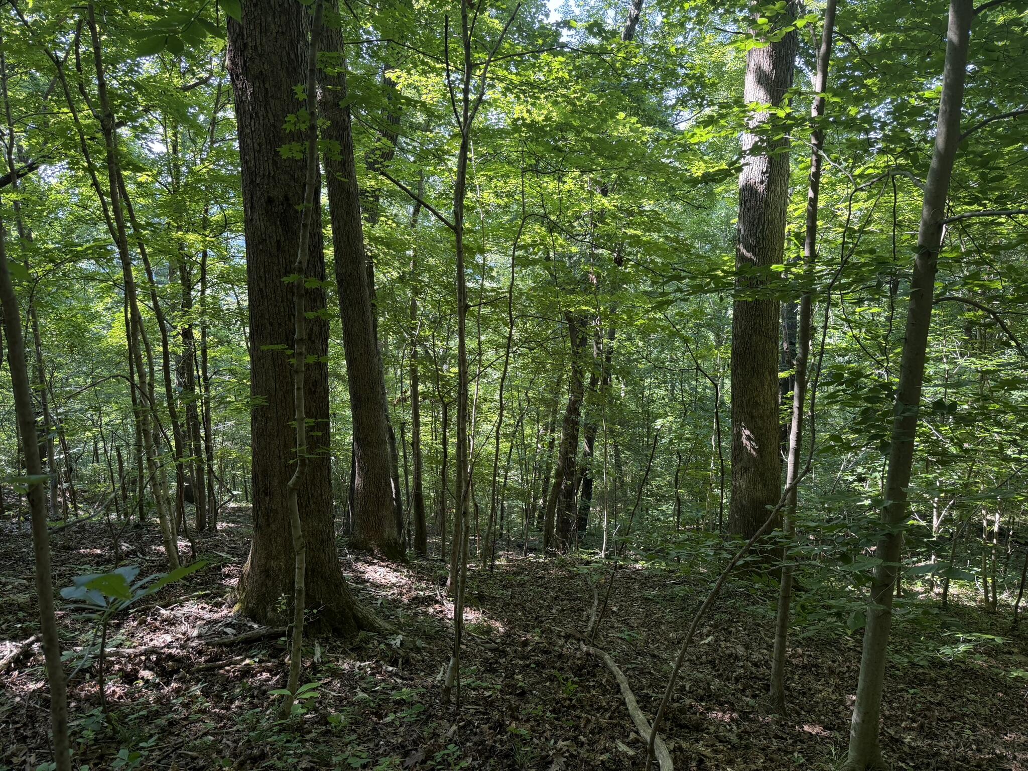 3000 Miller Creek Road Property Photo 40