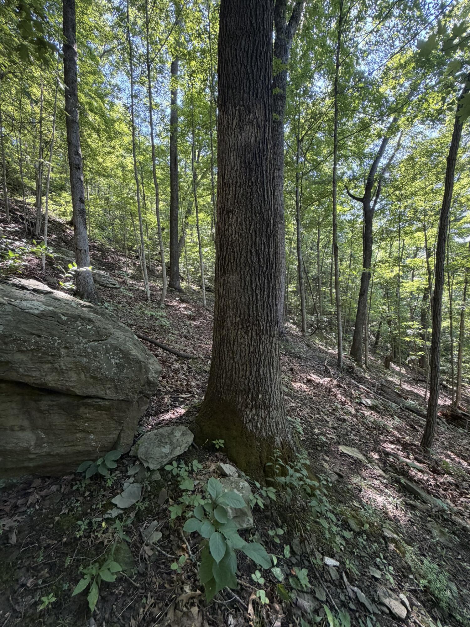 3000 Miller Creek Road Property Photo 41