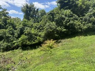 4116 Hart Street Property Photo 1